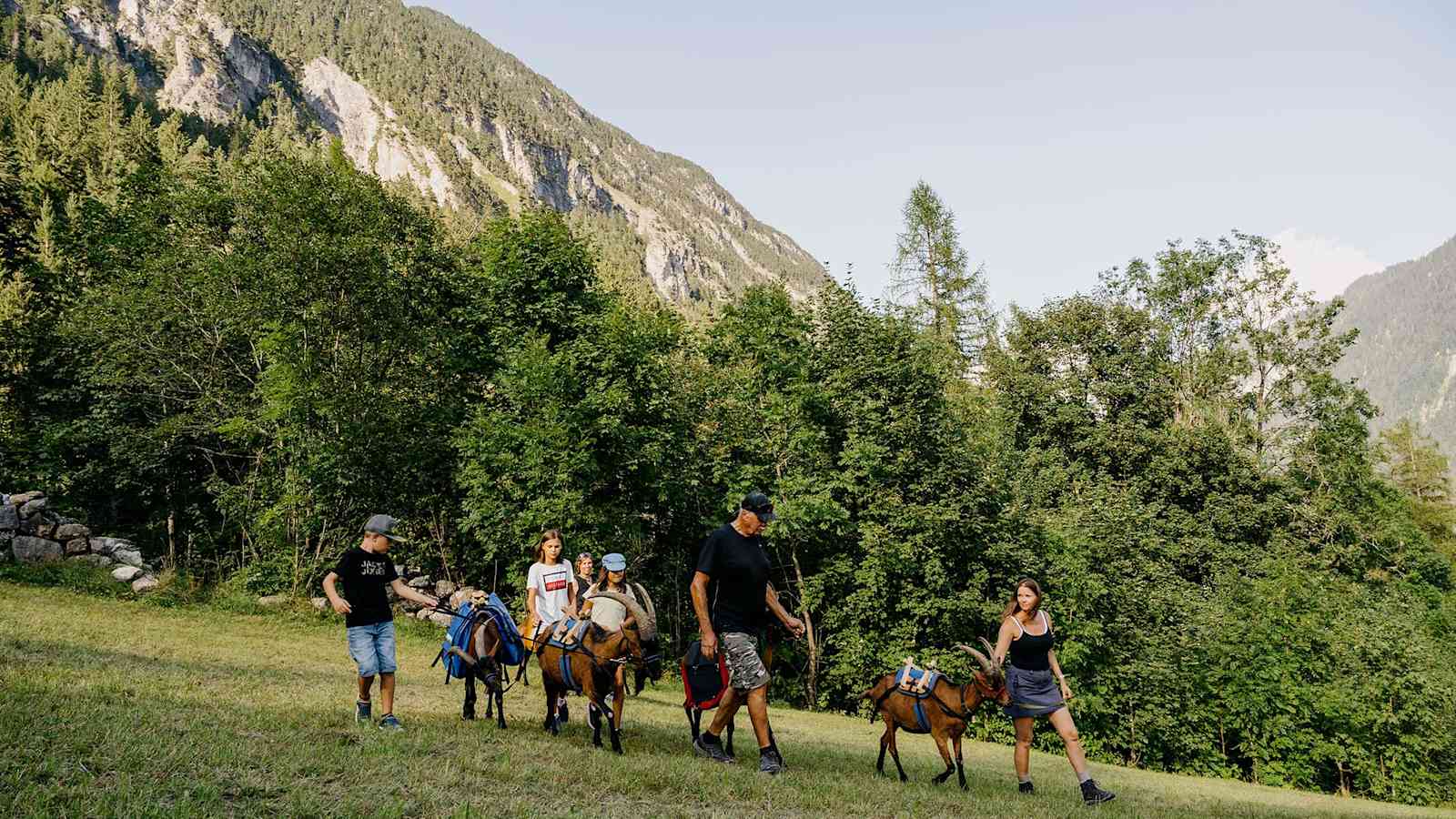 Wandern mit Ziege