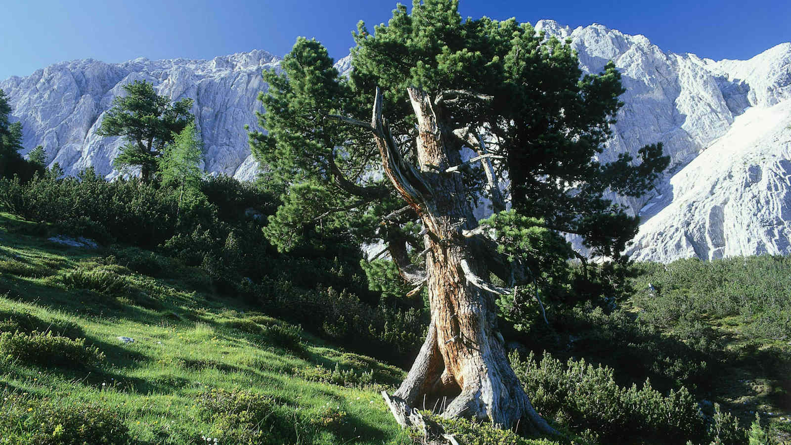 Wandern in Hall-Wattens