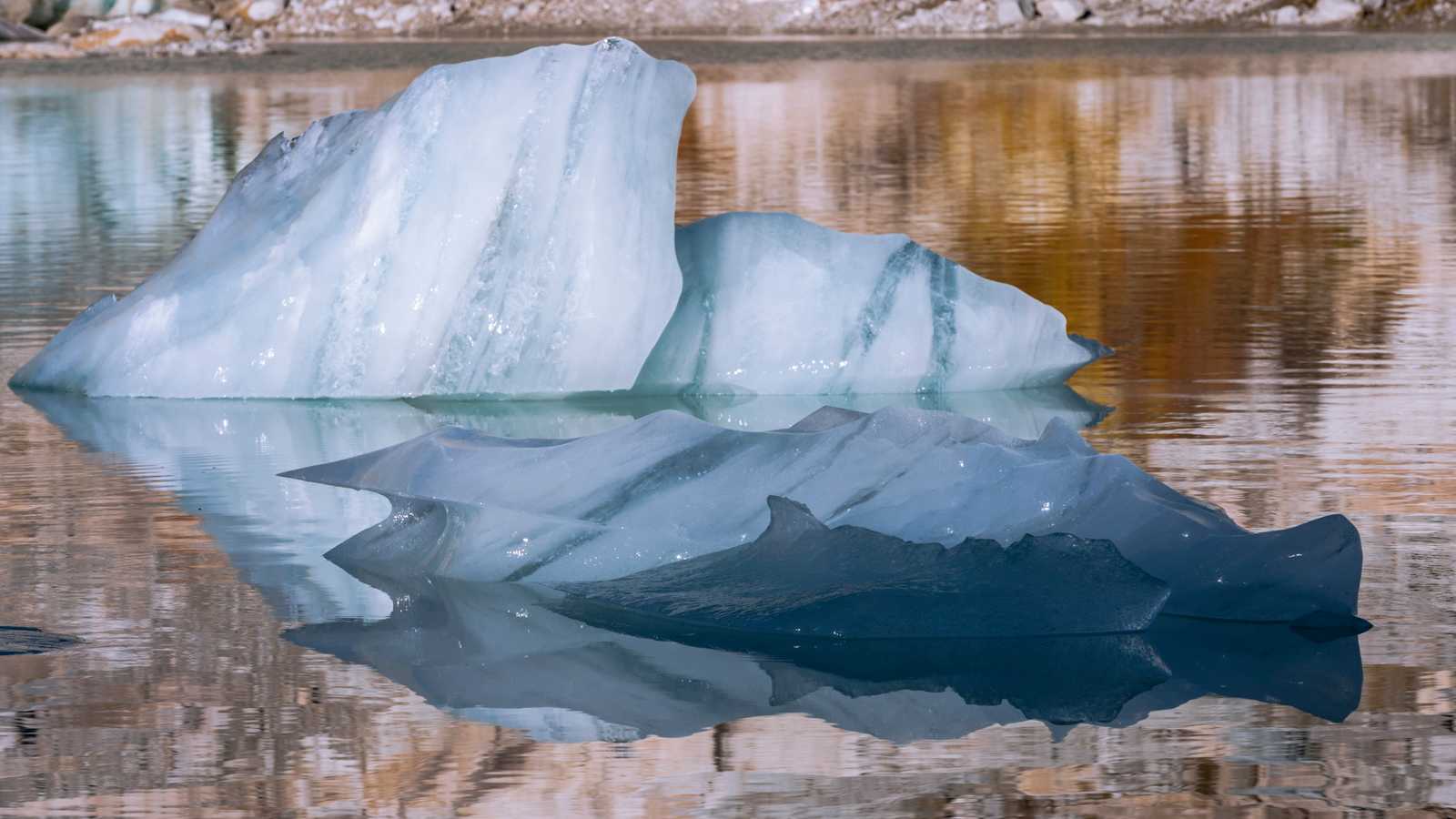 Ein Wal mit seinem Jungen im Gletschersee des Sonnblickkeeses. 