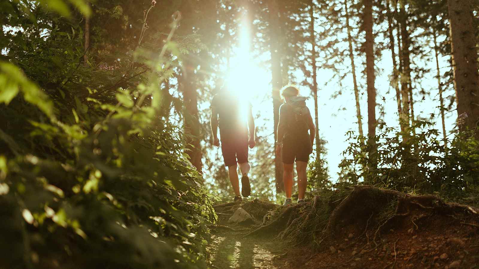 Achtsam unterwegs im Wald – Ruhe, Licht und neue Energie am Mindful.Latemar.