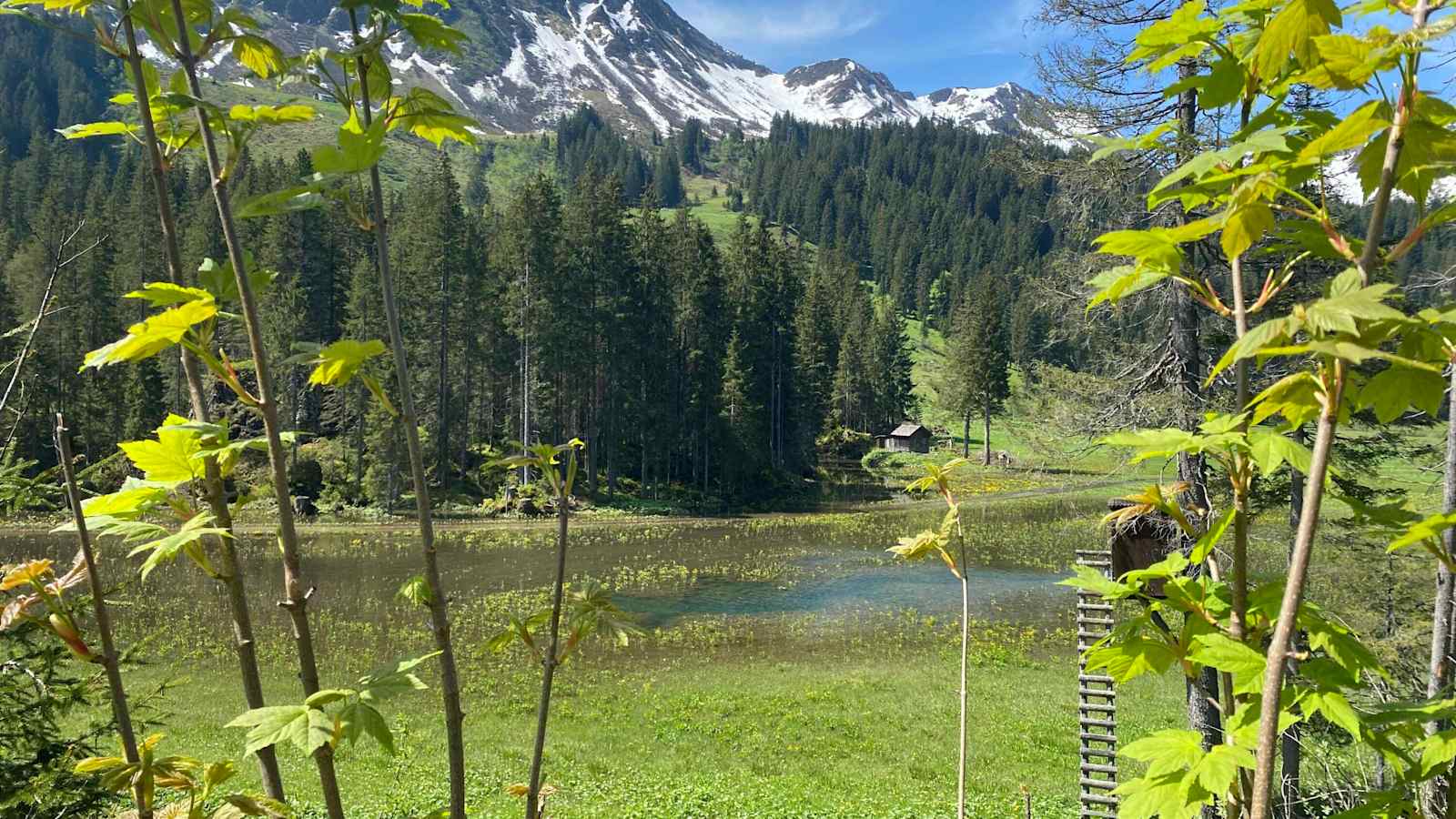 Die Melköde im Schwarzwassertal