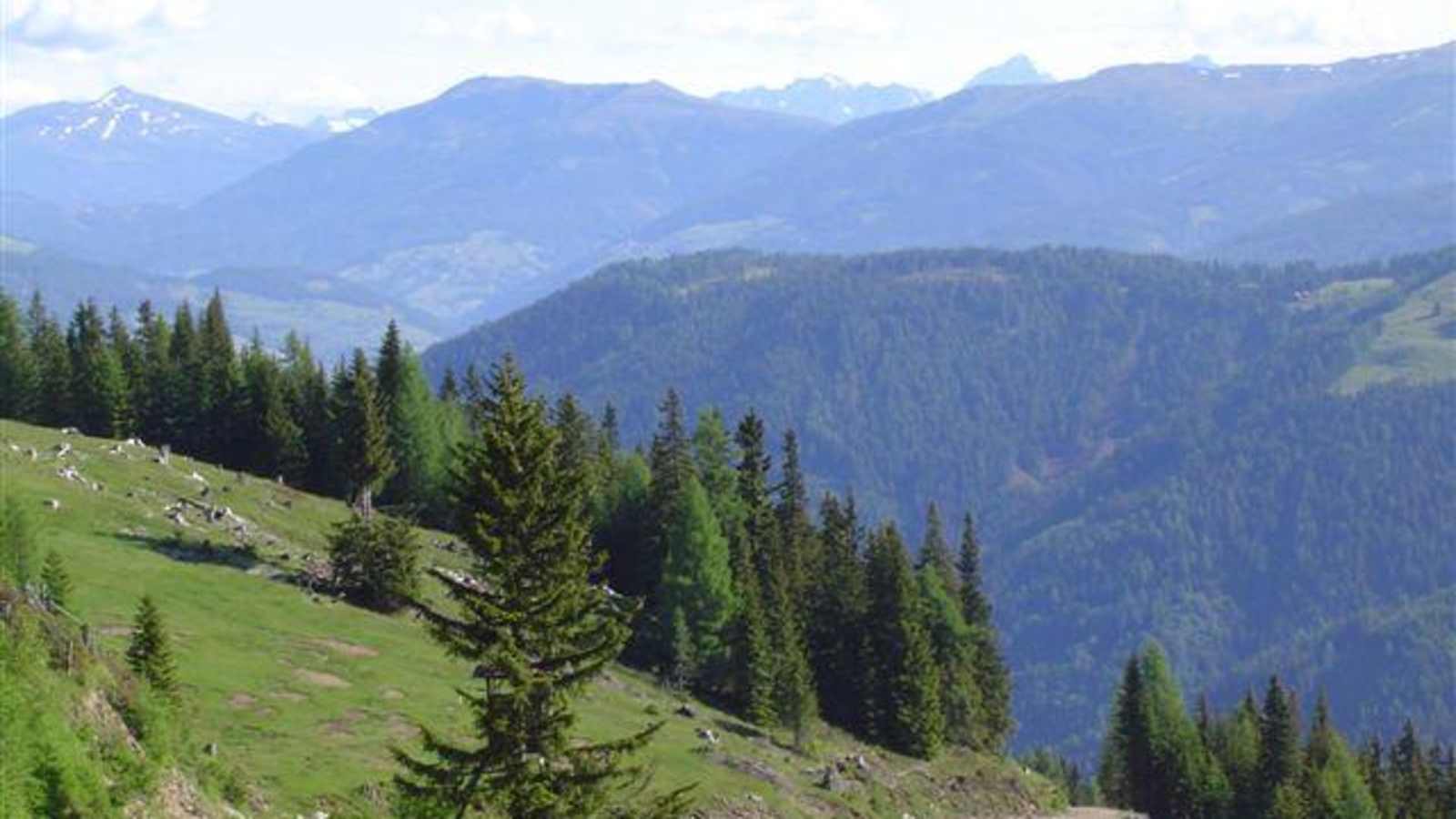 Weitblick in Richtung Gmünd 