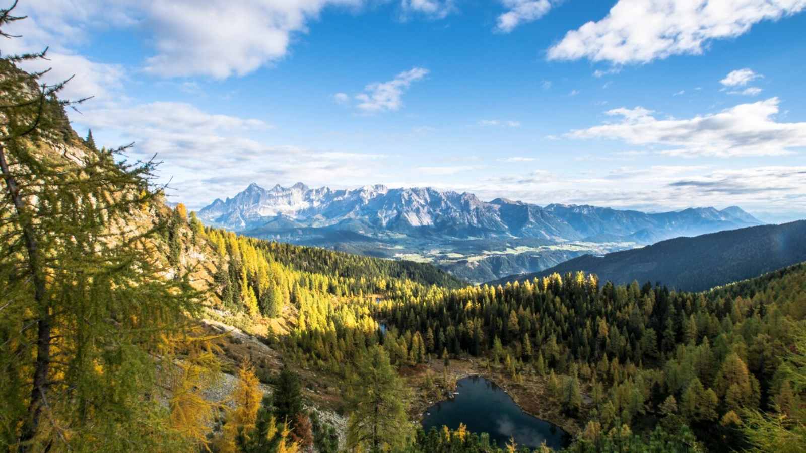 Blick vom Weg Nr. 66 auf den Untersee
