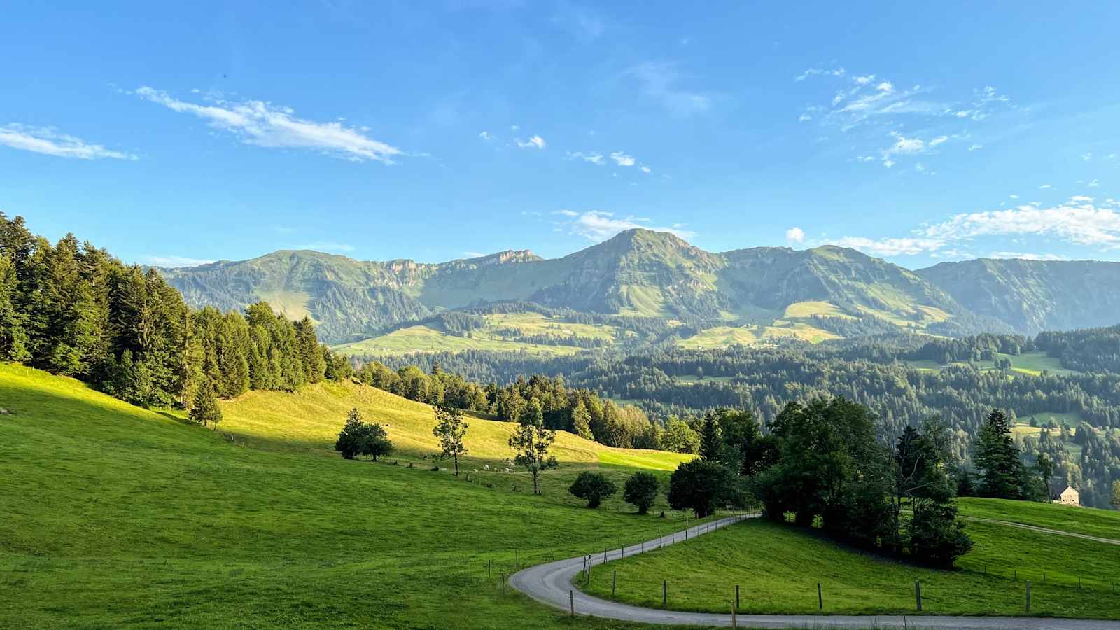 Hinterbergalpen mit Blick auf die Winterstaude