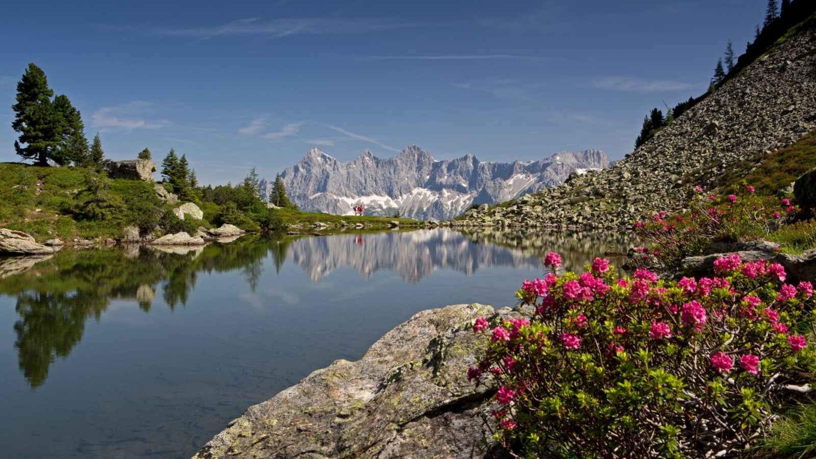 Der Spiegelsee
