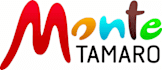 Logo Monte Tamaro SA