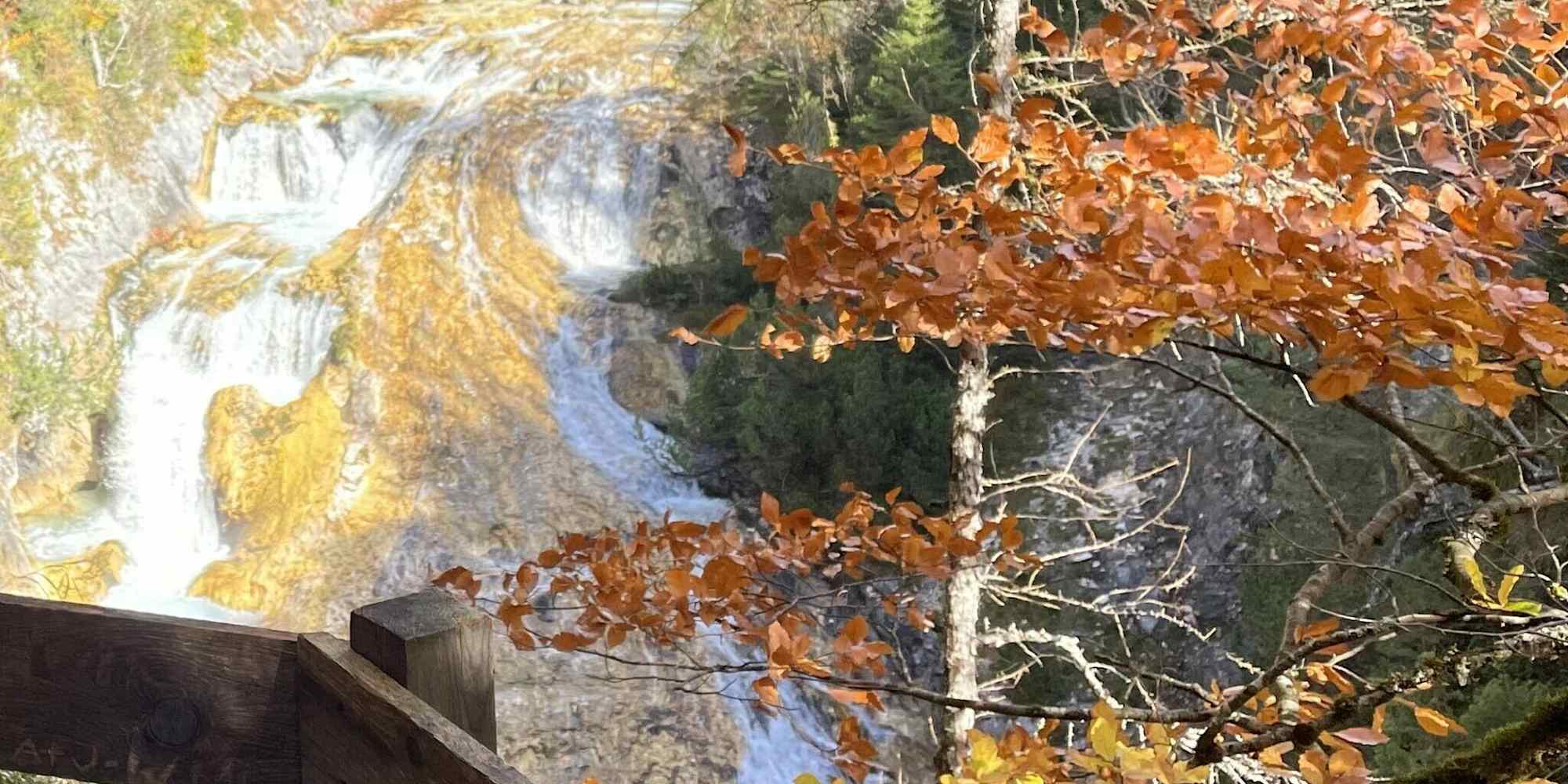 Blick in die Karwendelschlucht