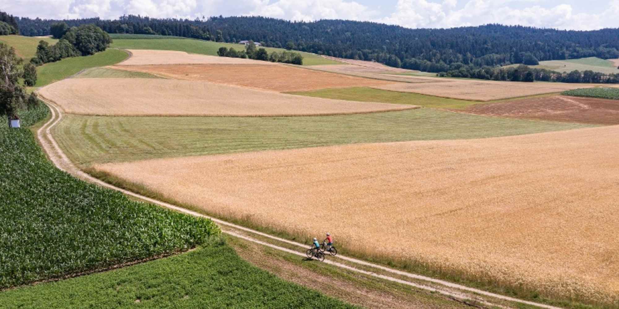 Mountainbiken im Mühlviertler Granitland