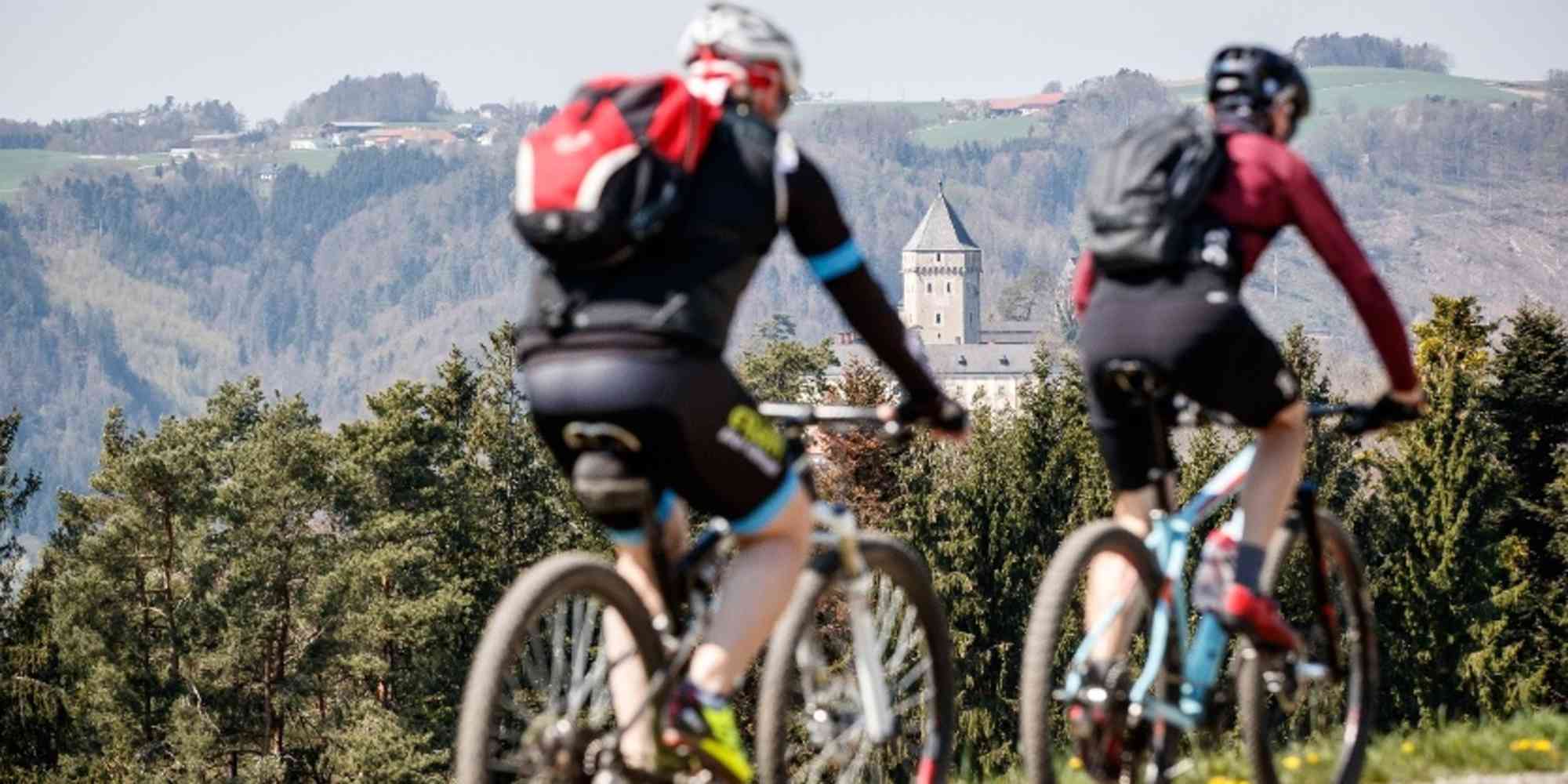  Mountainbiken in St. Martin im Mühlkreis