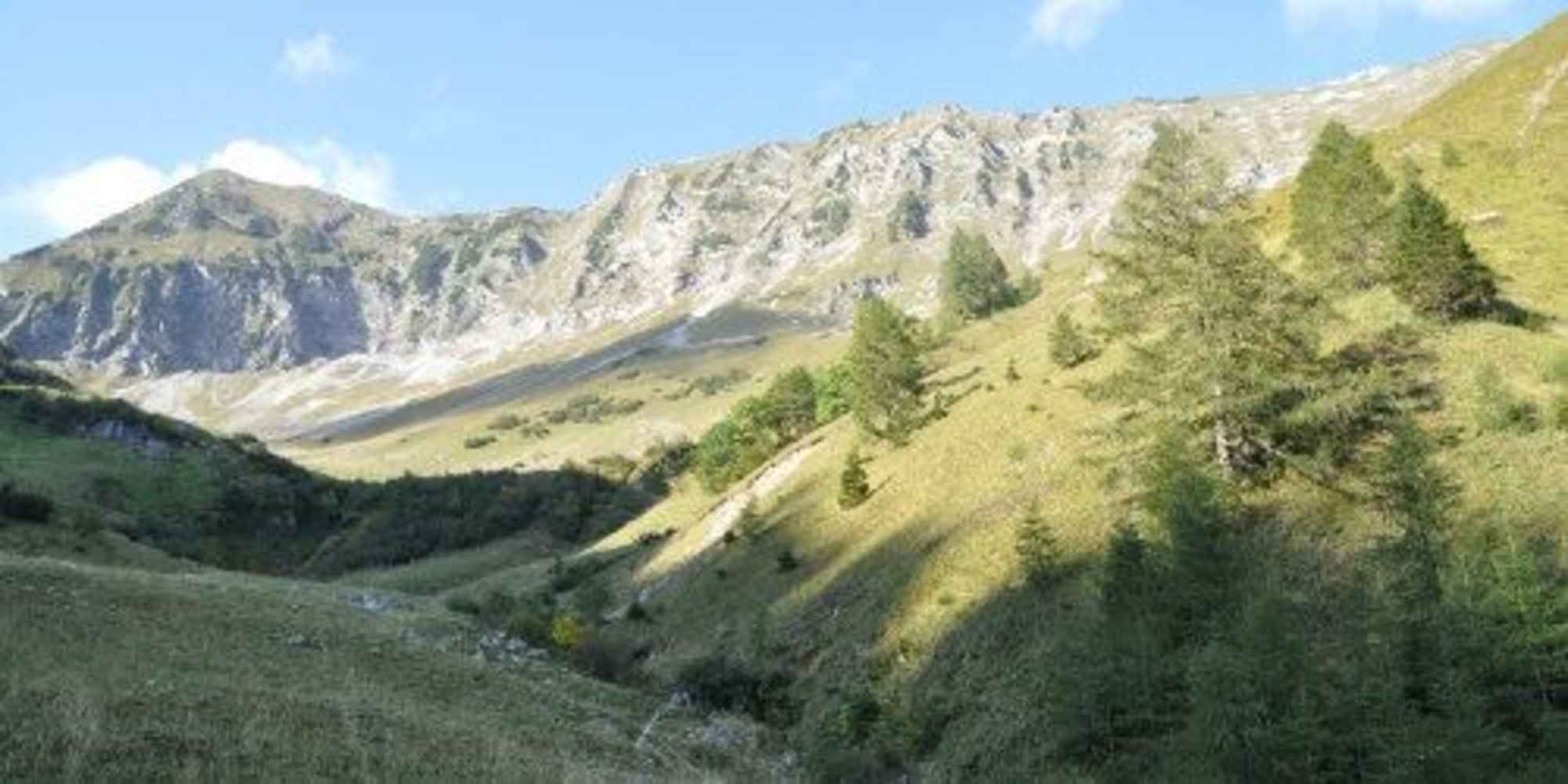 Auf der Moosenalm werde Nature-Watch-Touren vom Naturpark Karwendel angeboten.