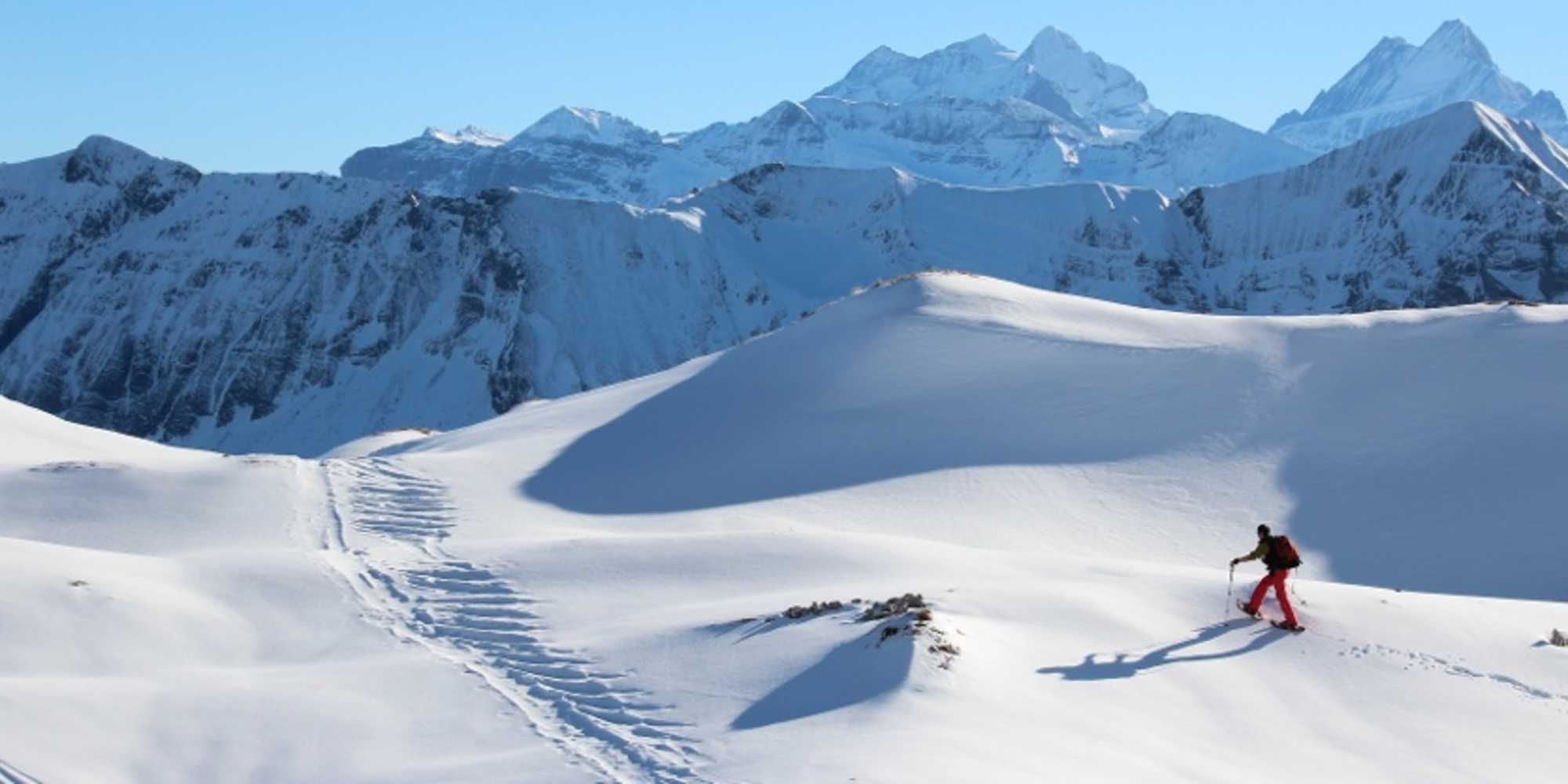 Schneeschuhlaufen oberhalb Chlus mit Aussicht auf Tannhorn und Berner Alpen
