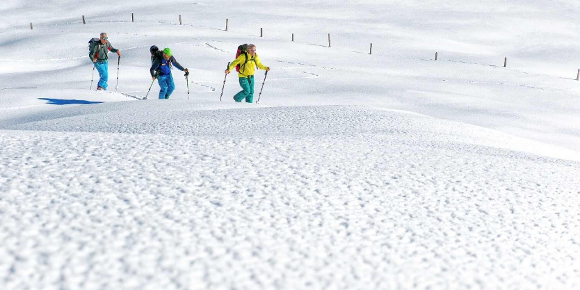 Skitour über den Haldigrat auf den Brisen