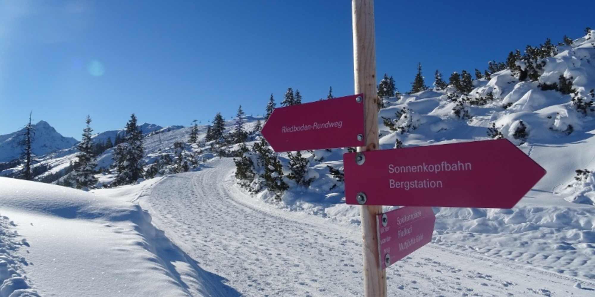 Beschilderter Winterwander-Rundweg "Riedboden" am Sonnenkopf