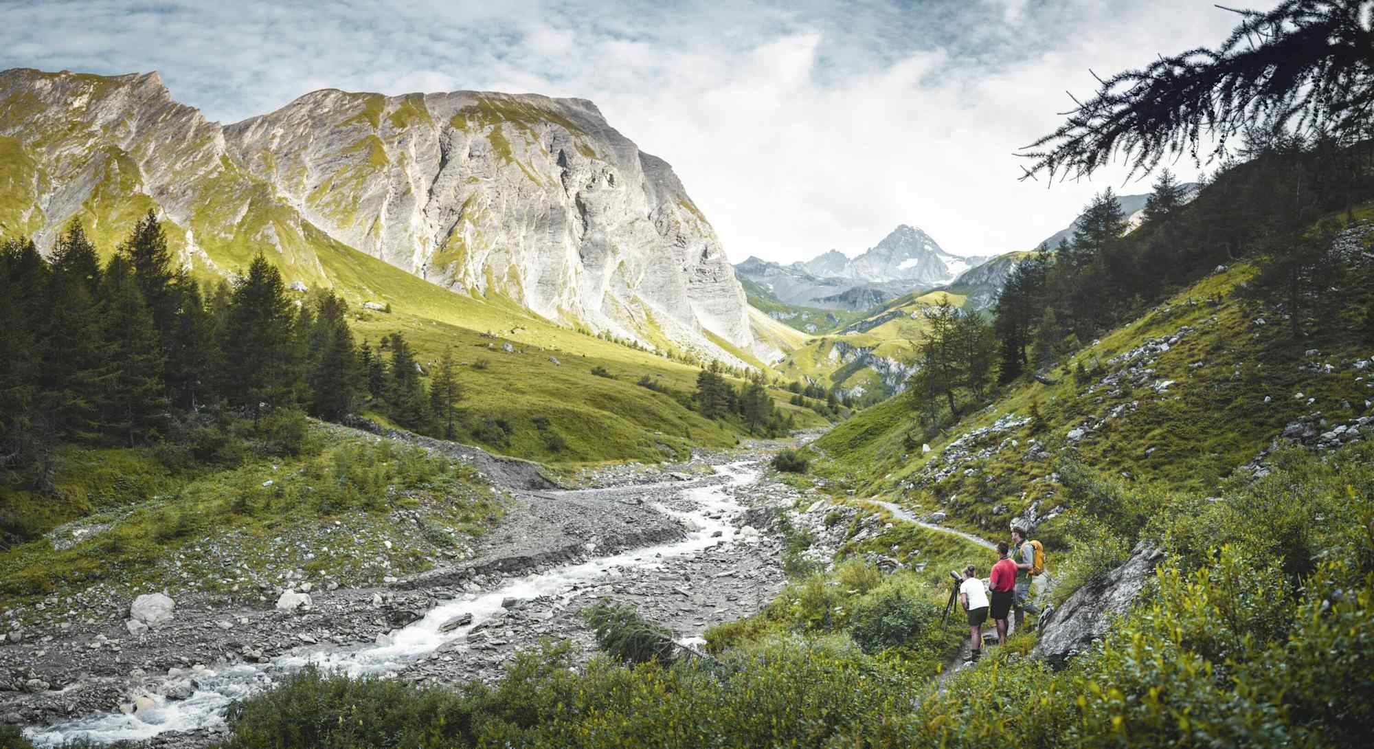 Im Ködnitztal bei Kals am Großglockner im Nationalpark Hohe Tauern, Osttirol