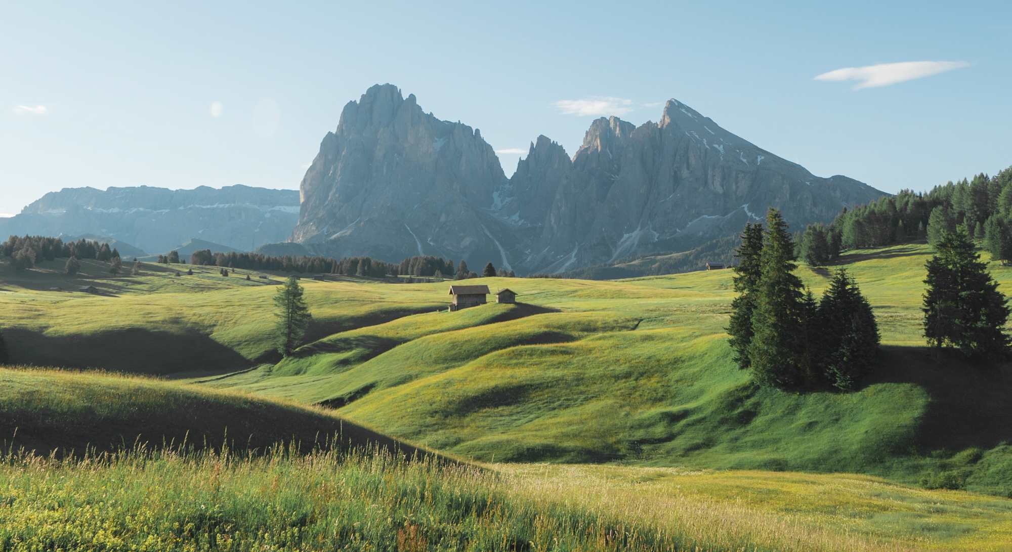 Blick über de Seiser Alm zu Lang- und Plattkofel