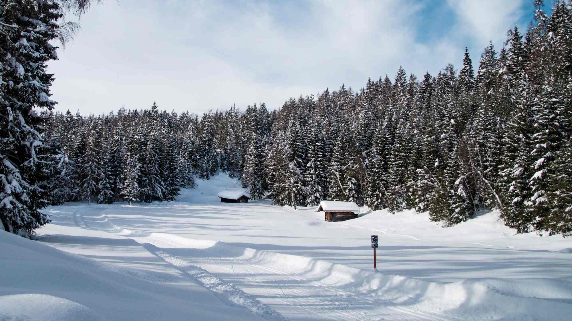 C6 Buchen Loipe mit Blick Richtung Lottensee