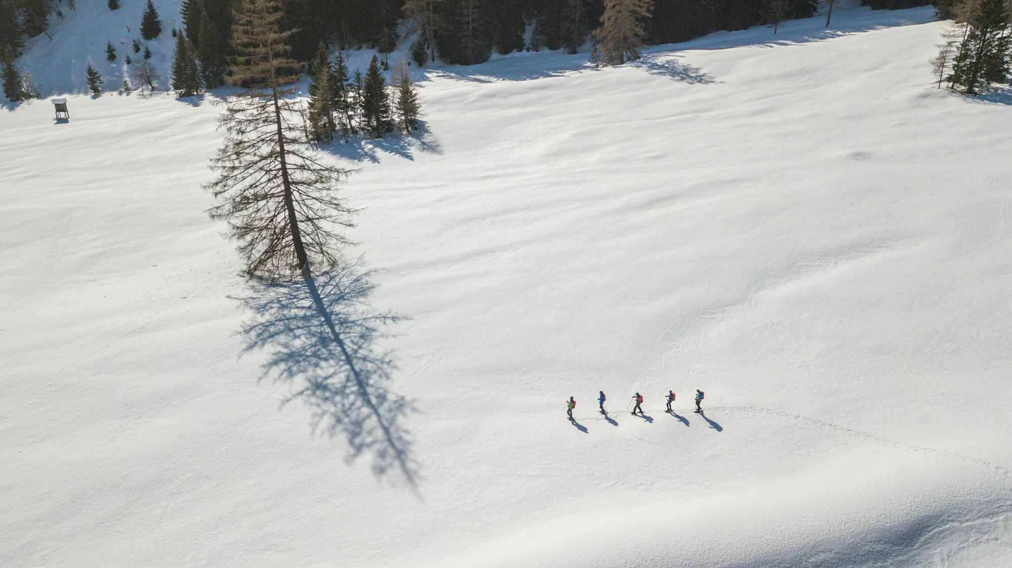 Schneeschuhwandern auf der Jamnigalm bei Mallnitz