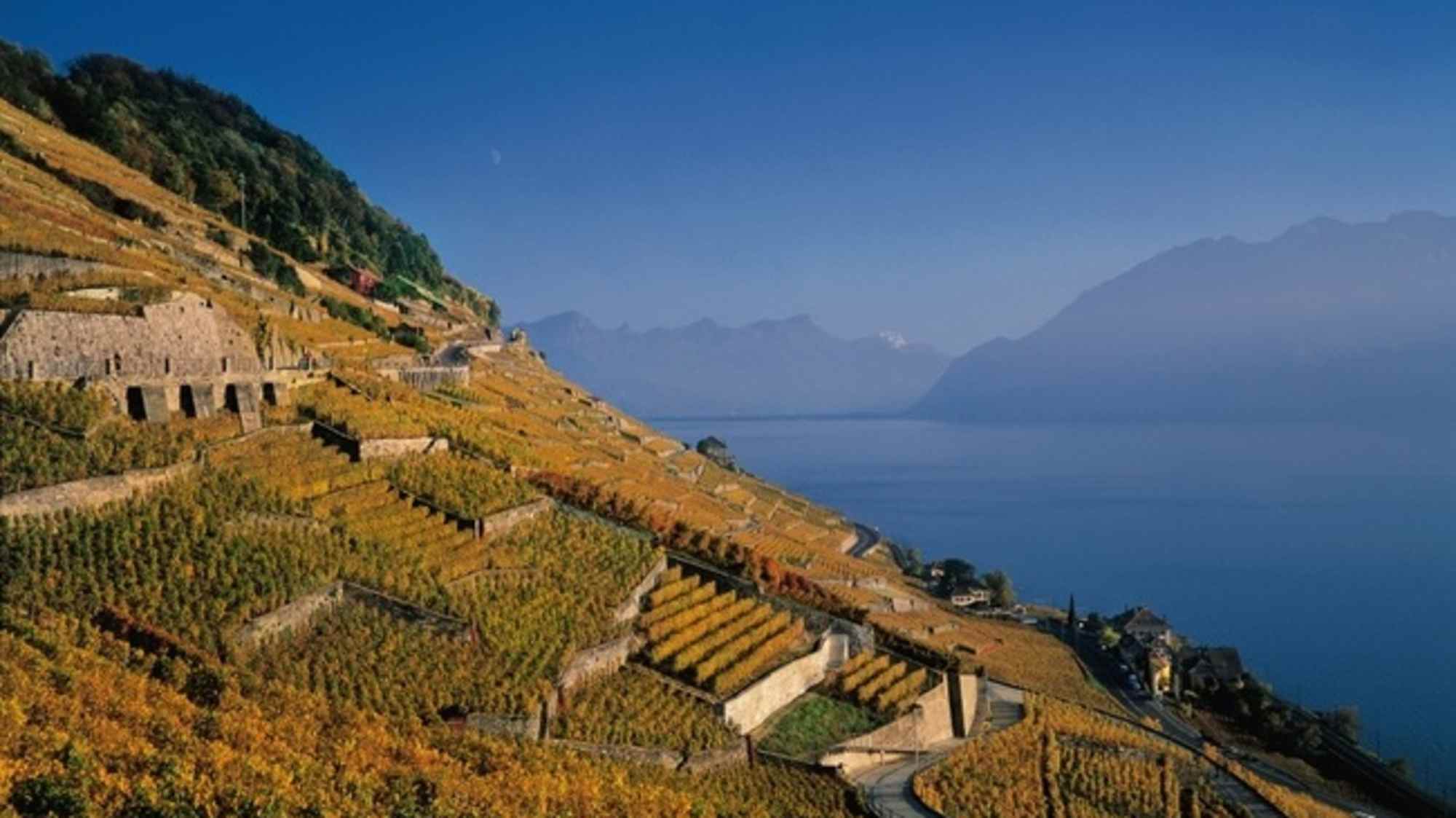 Terrassen in Lavaux