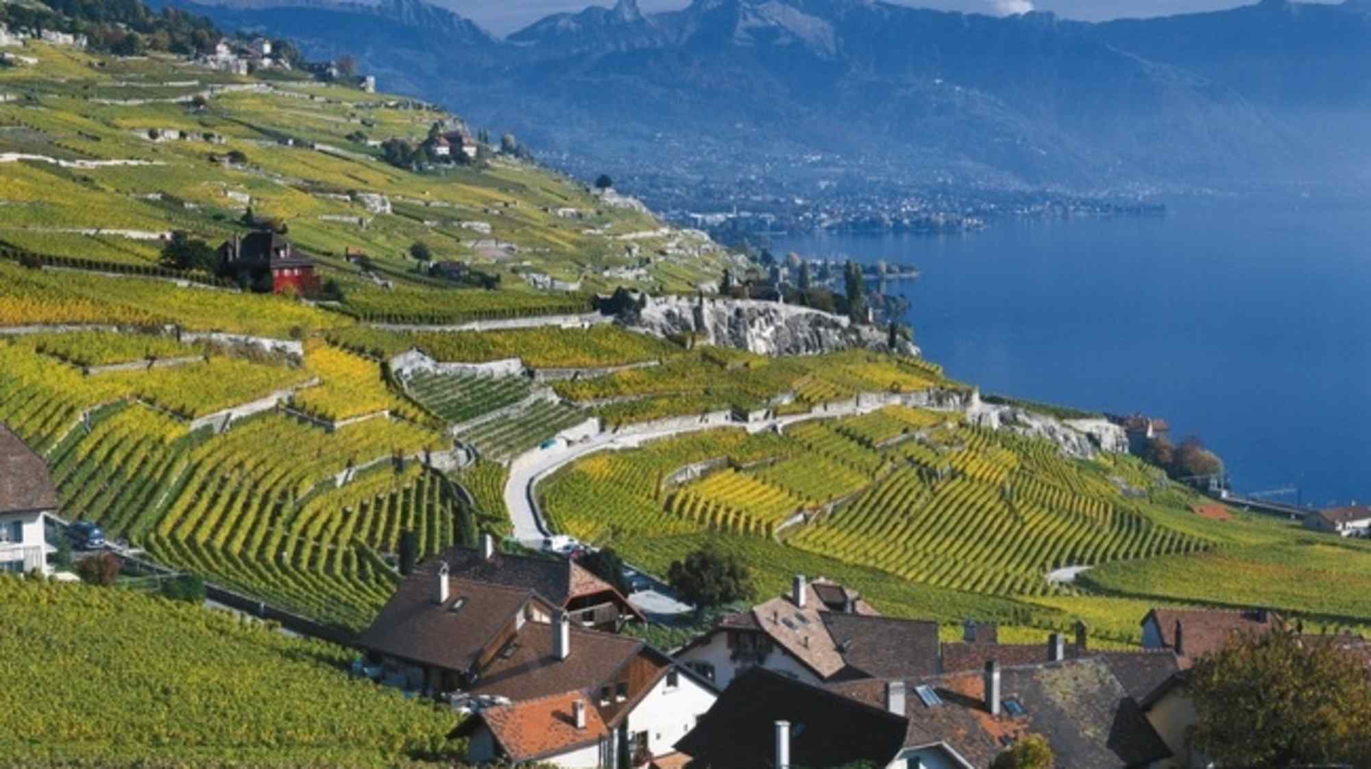 Terrassen in Lavaux