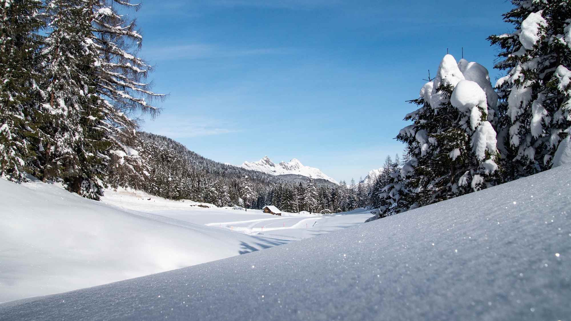 Blick auf die B1 Loipe