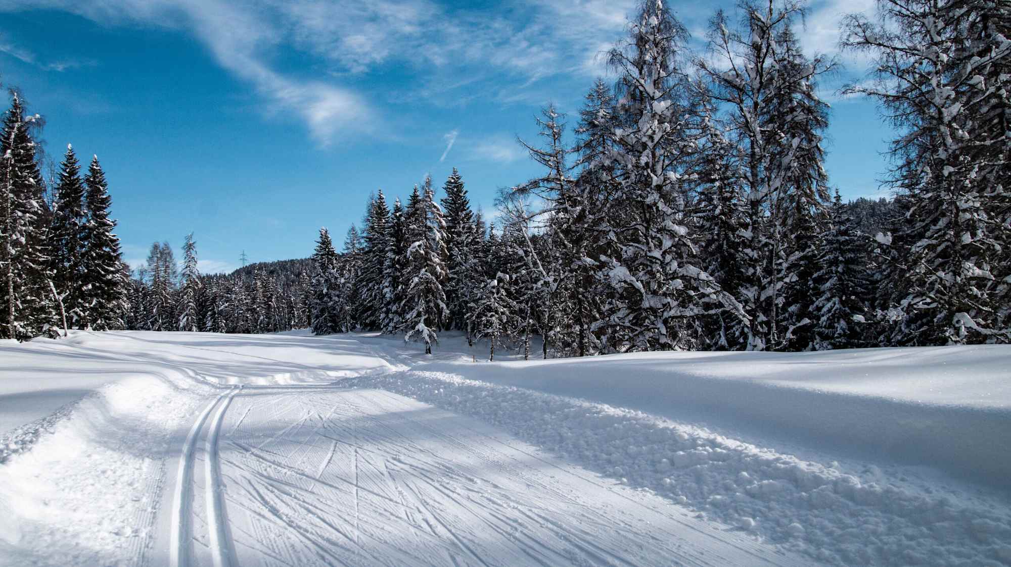C6 Buchen Loipe mit Blick Richtung Lottensee