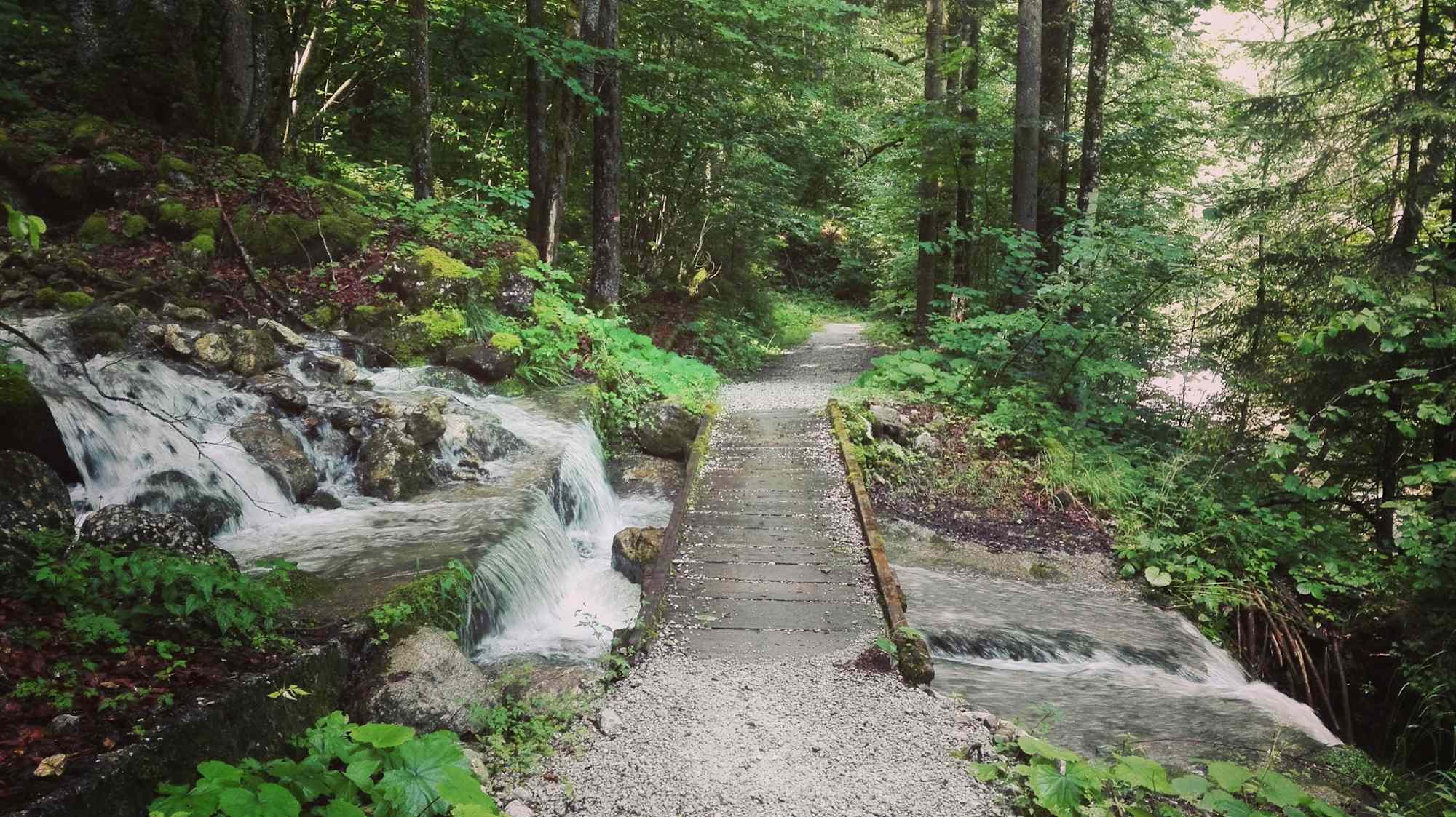 Angenehm schattiger Weg durch die Wildenbachschlucht
