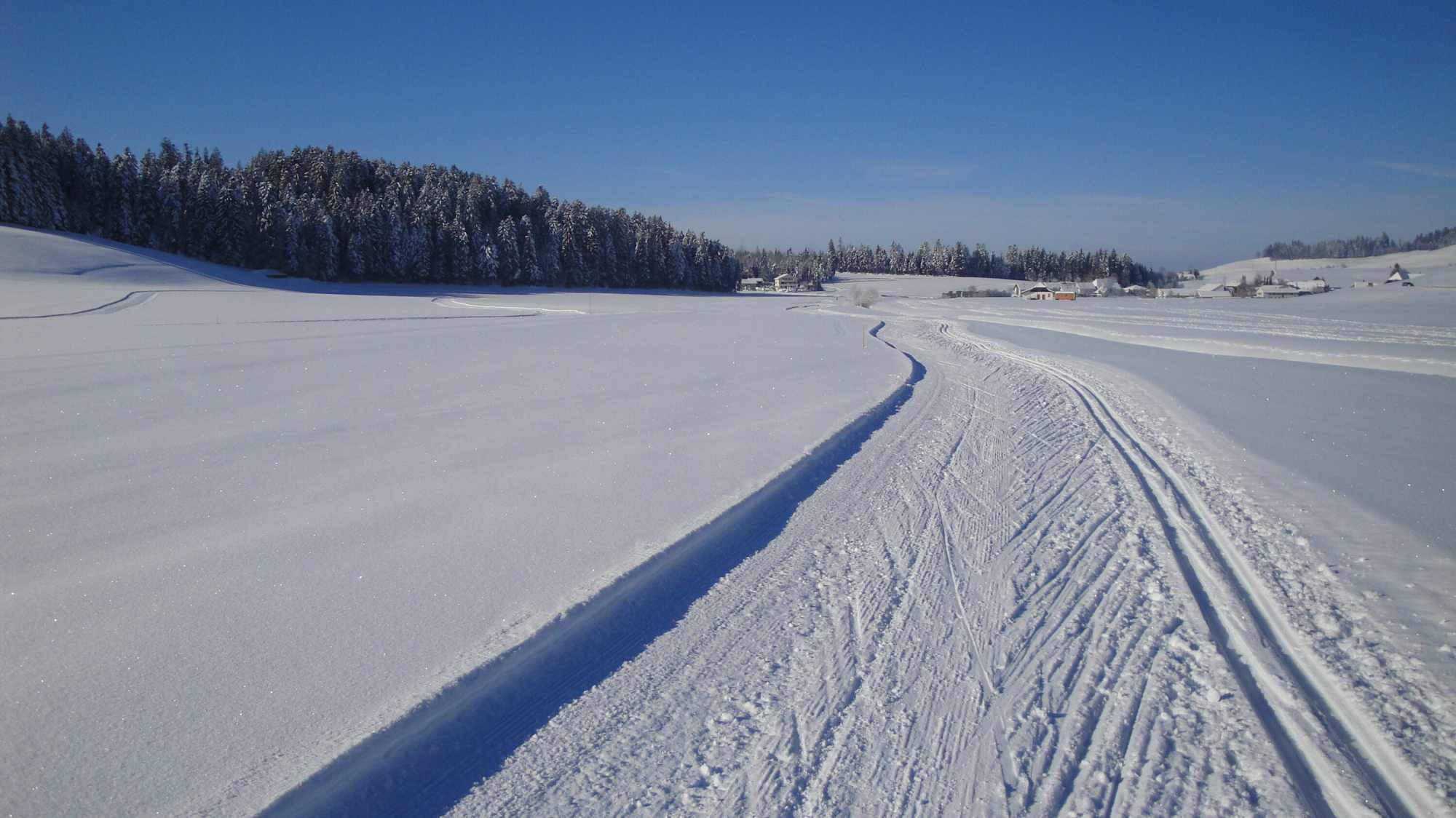 Auf der Rundloipe Arnimoos
