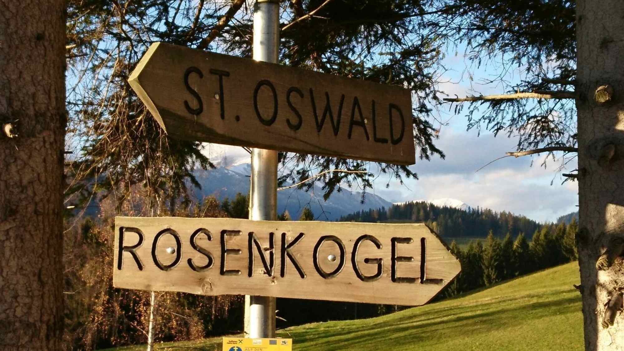 Rosenkohl über Sommertörl