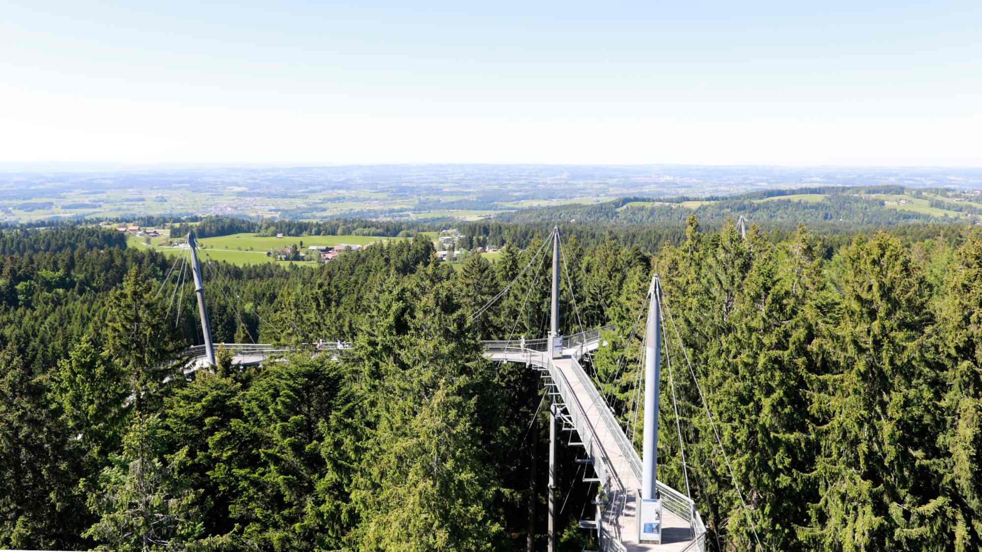 Starke Nerven sind im skywalk allgäu Naturerlebnisparks gefragt: Über 40 Meter hoch schwebt man auf den Holzstegen im Baumwipfelpfad über dem Erdboden.