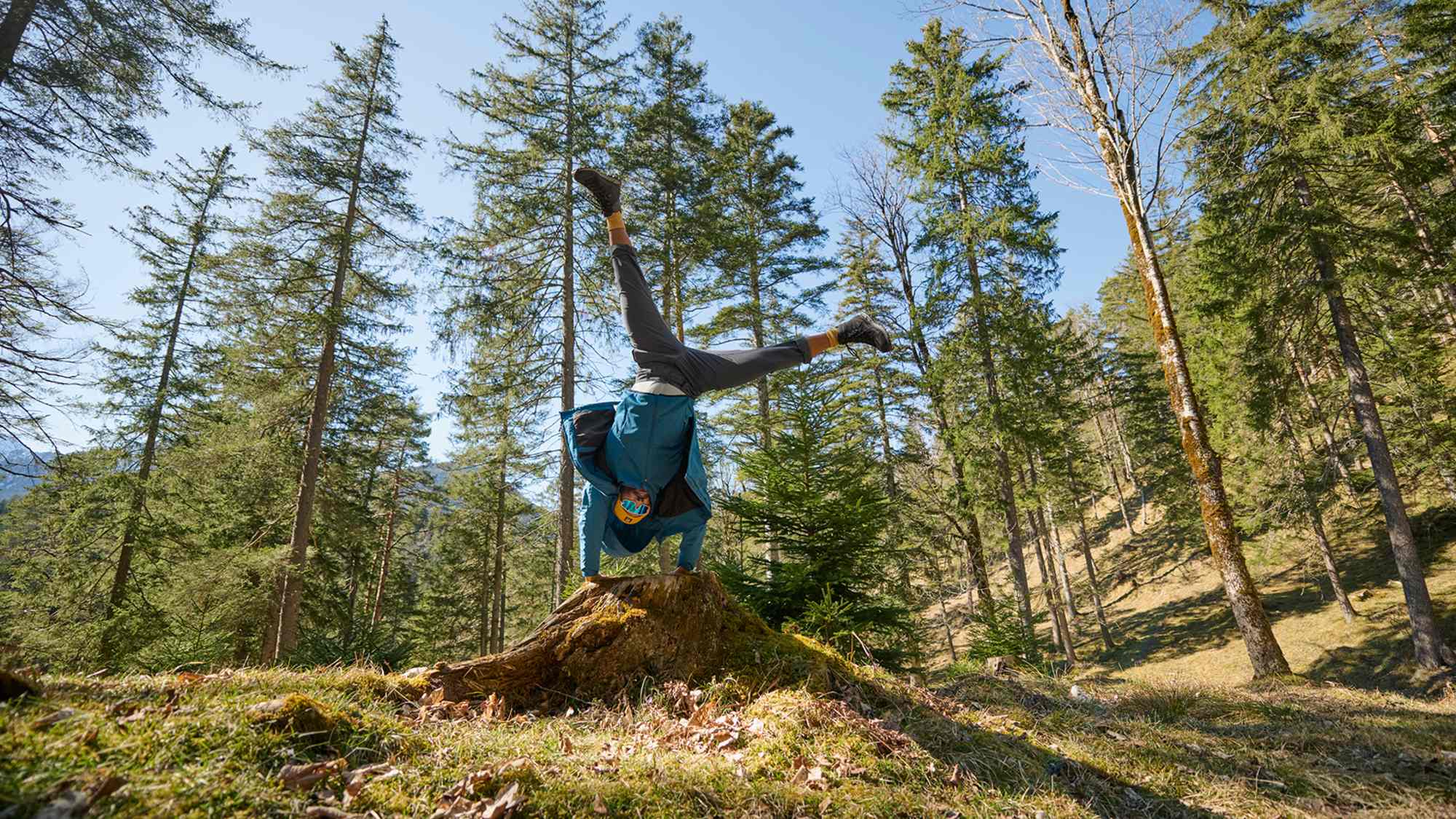 Person in Outdoorbekleidung von Maier Sports macht einen Handstand auf einem Baumstumpf, umgeben von einem sonnigen Wald.