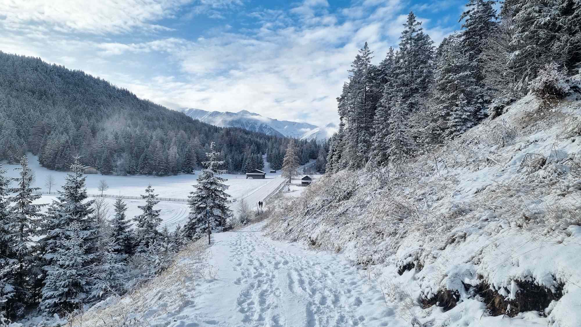 Auf dem Winterwanderweg von Seefeld Richtung Mösern