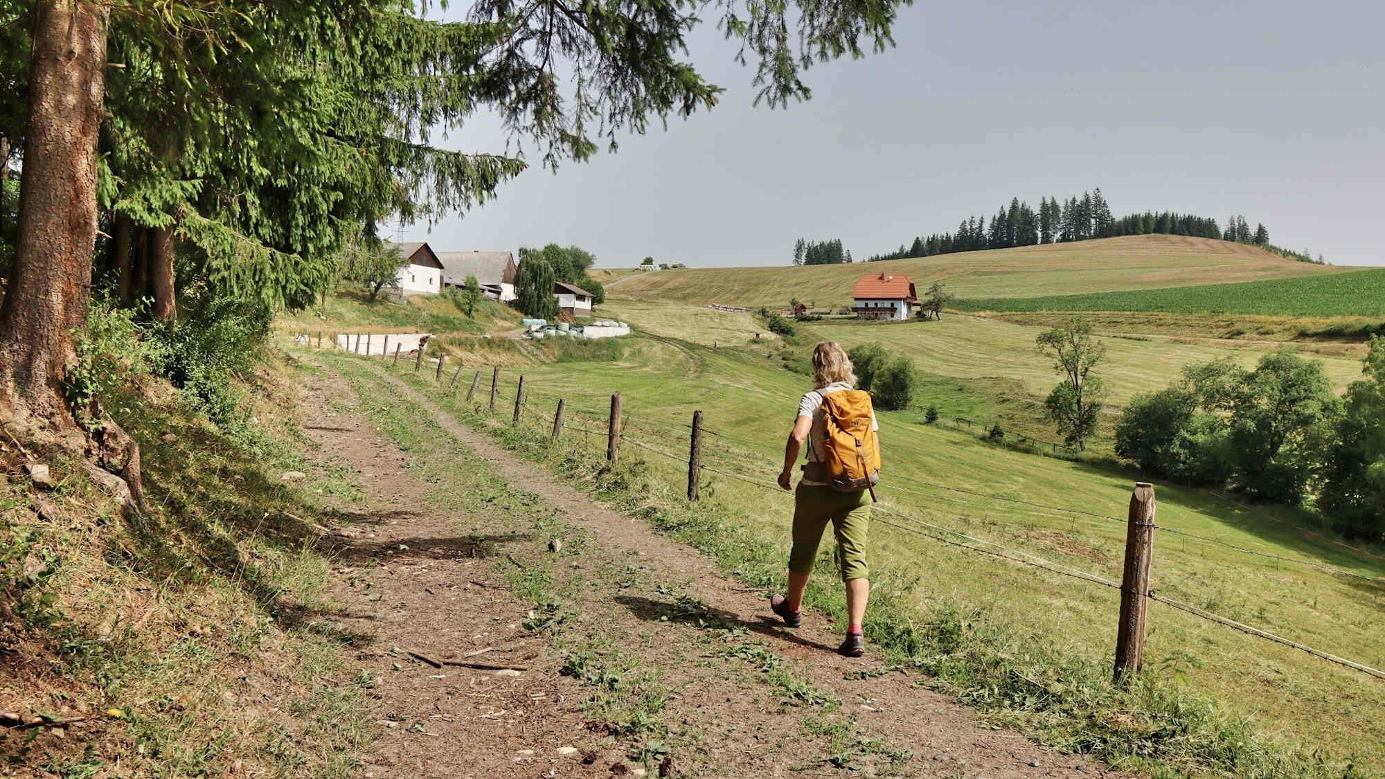Styrian Iron Trail - Etappe 1 - Wandern über den Höhenrücken
