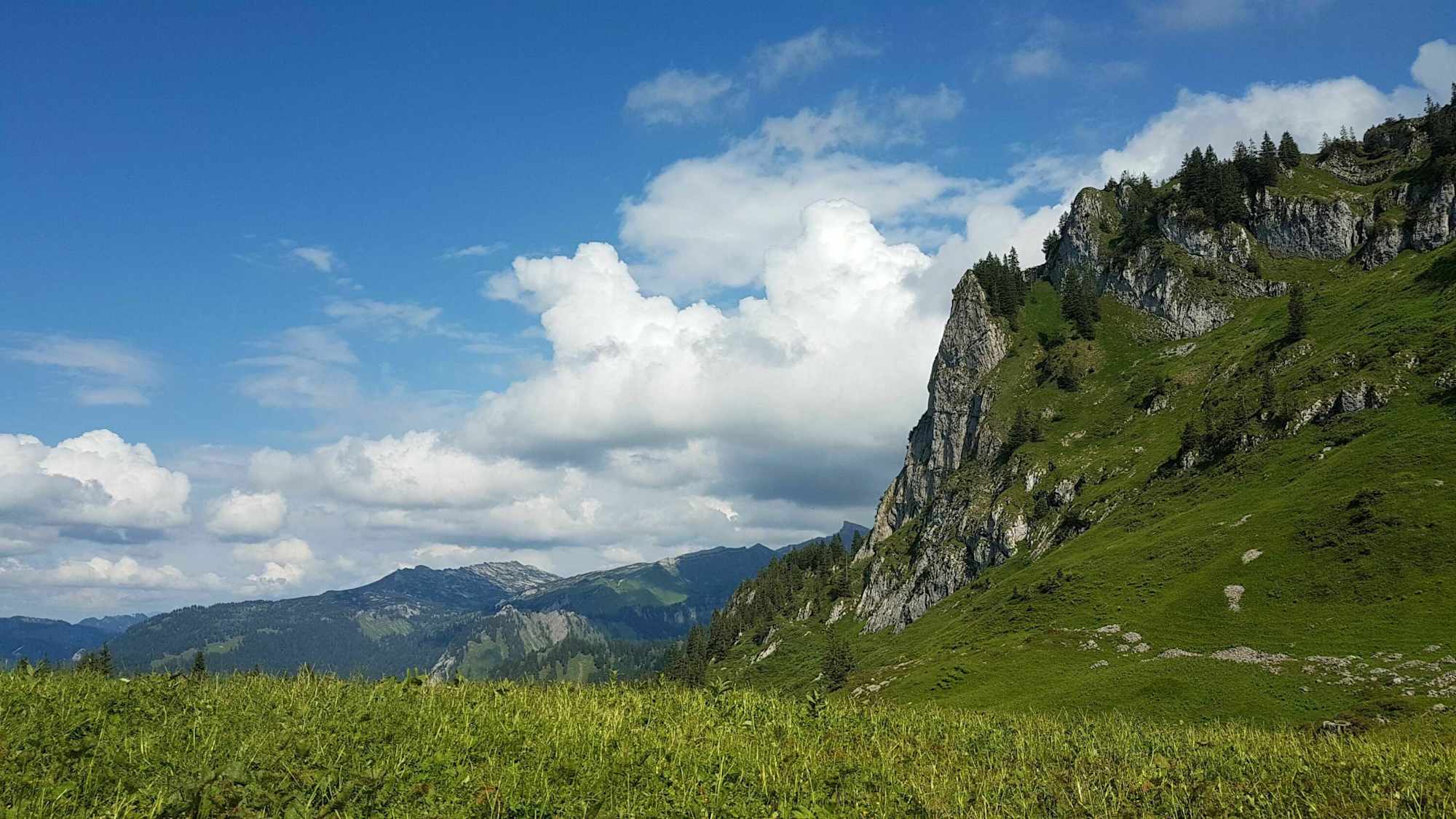 Alpe Wölflersgunten