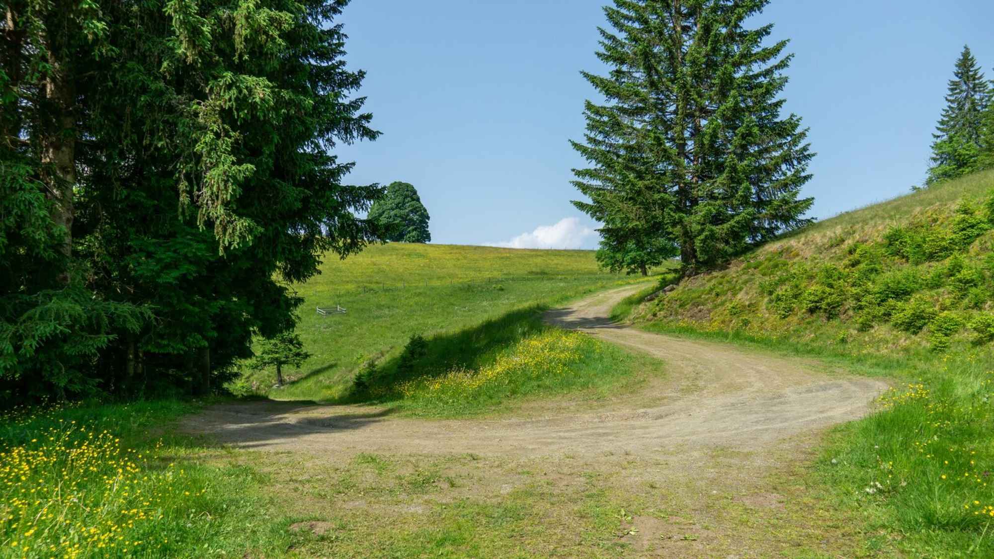 Auf der Aich Runde