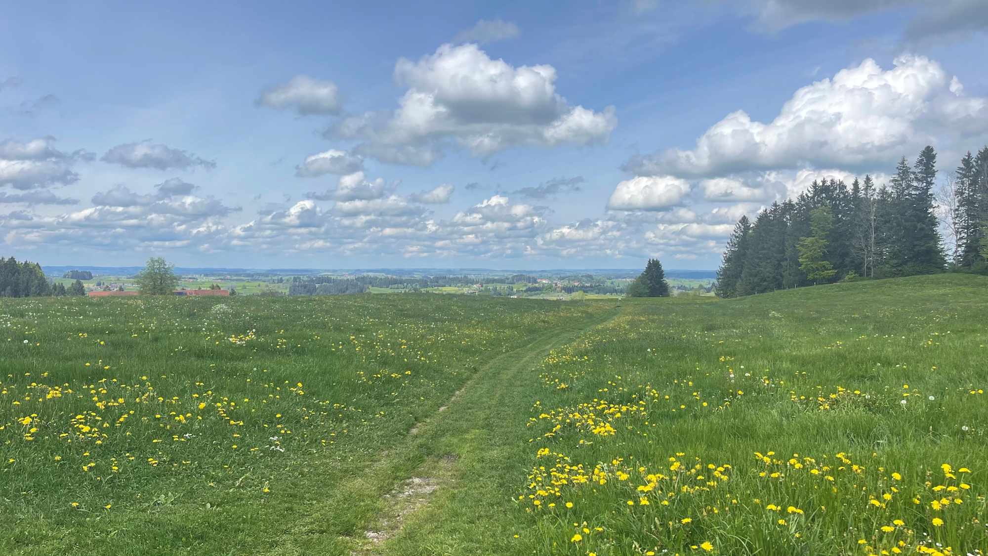 Wiesentrail zum Tobelradweg