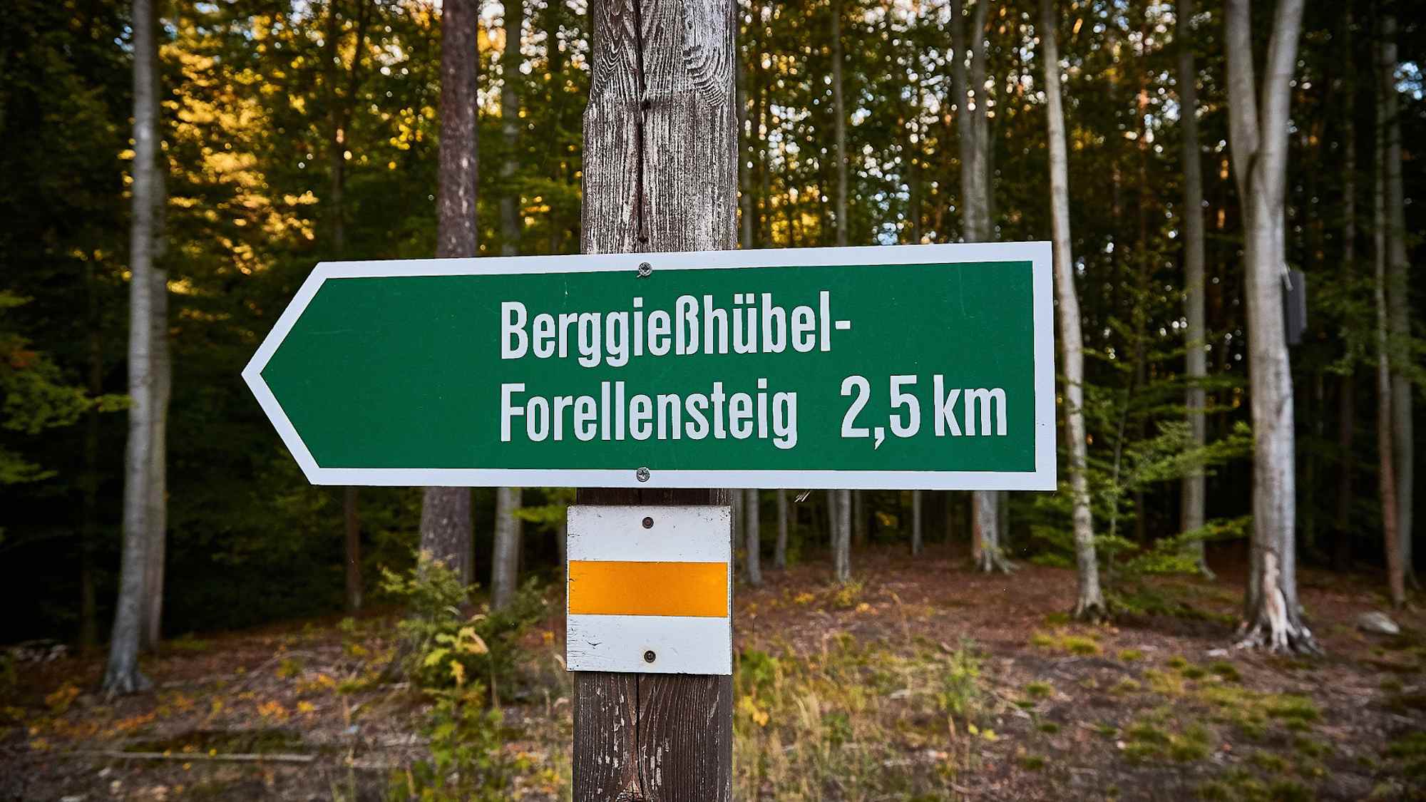 Forellensteig Berggießhübel