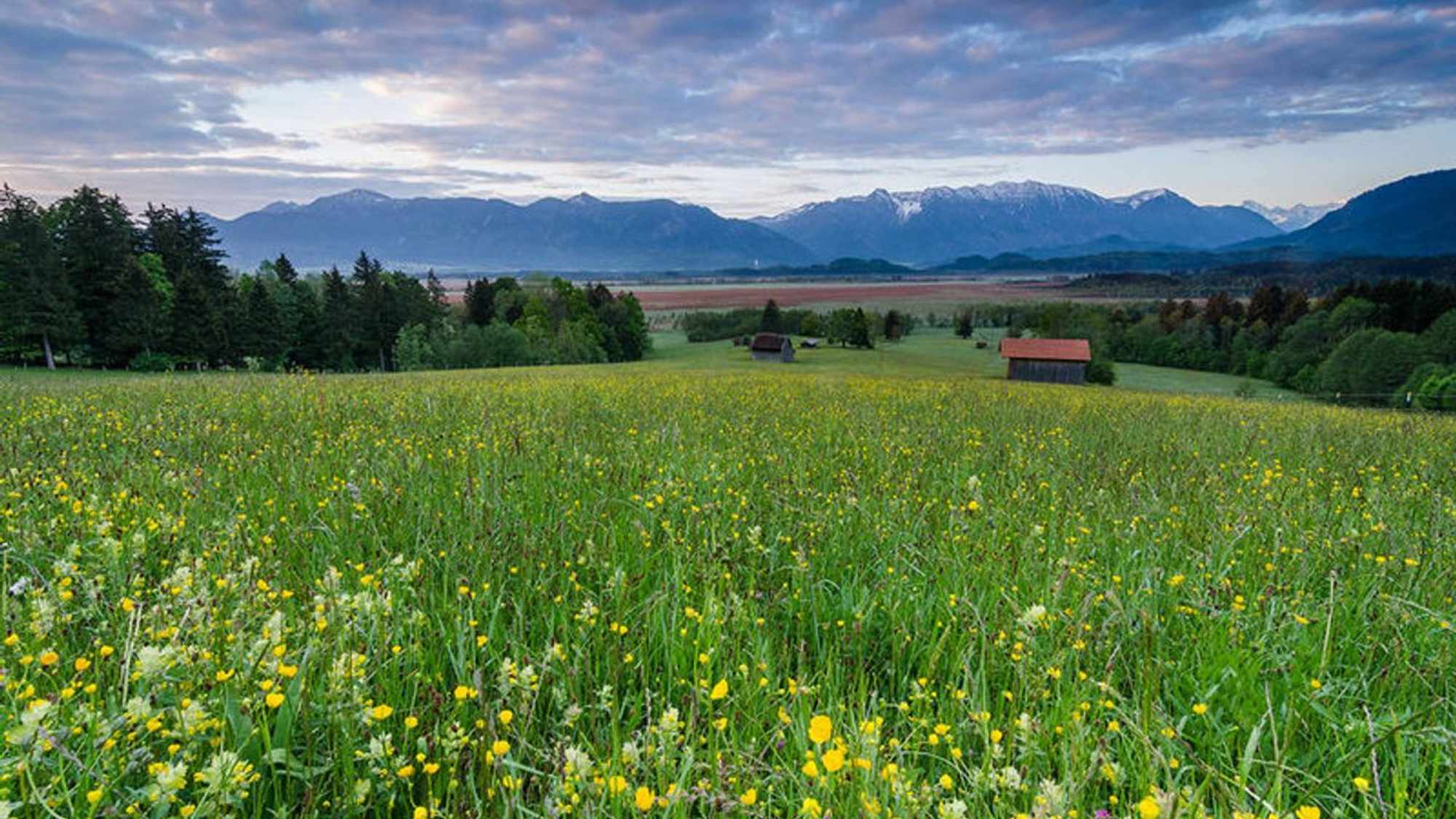 Blick aufs Murauer Moor
