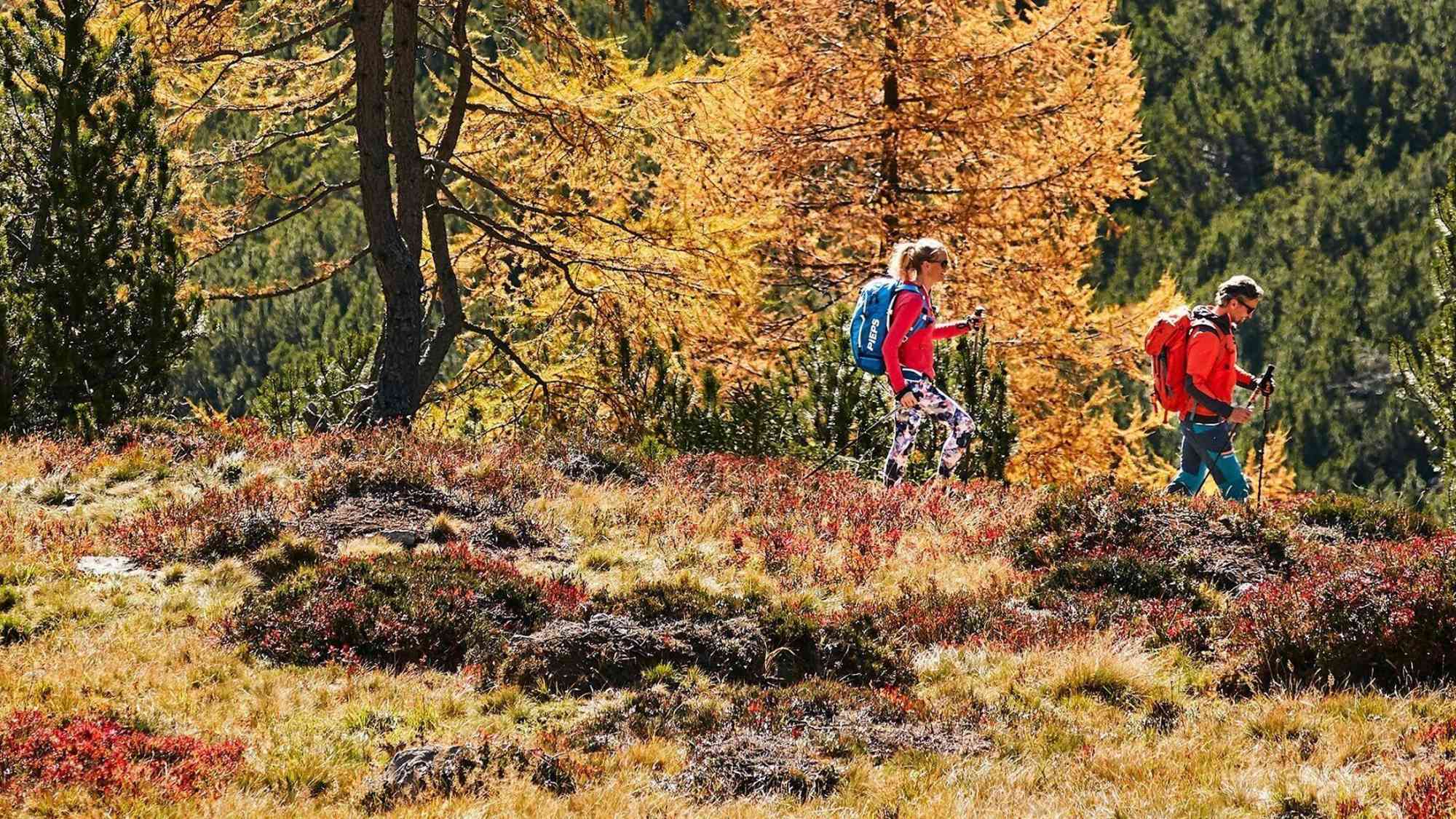 Wanderung zur Larein Alpe