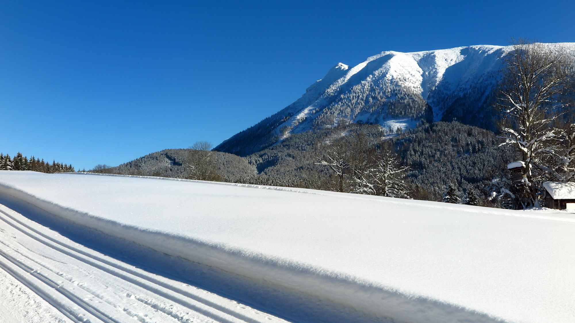 Mandlbodenloipe - Blick auf den Ötscher