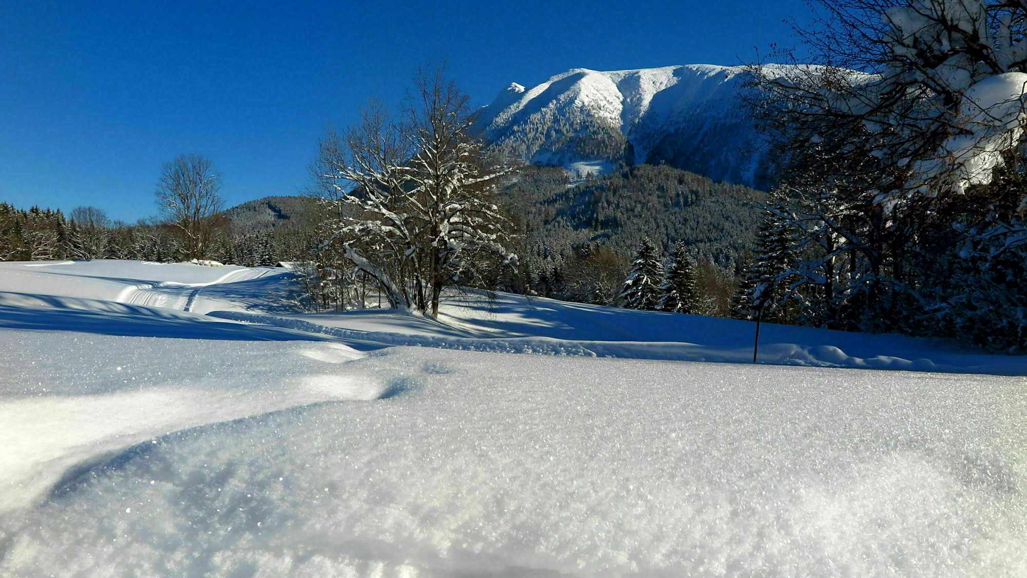 Schöner Blick auf den Ötscher