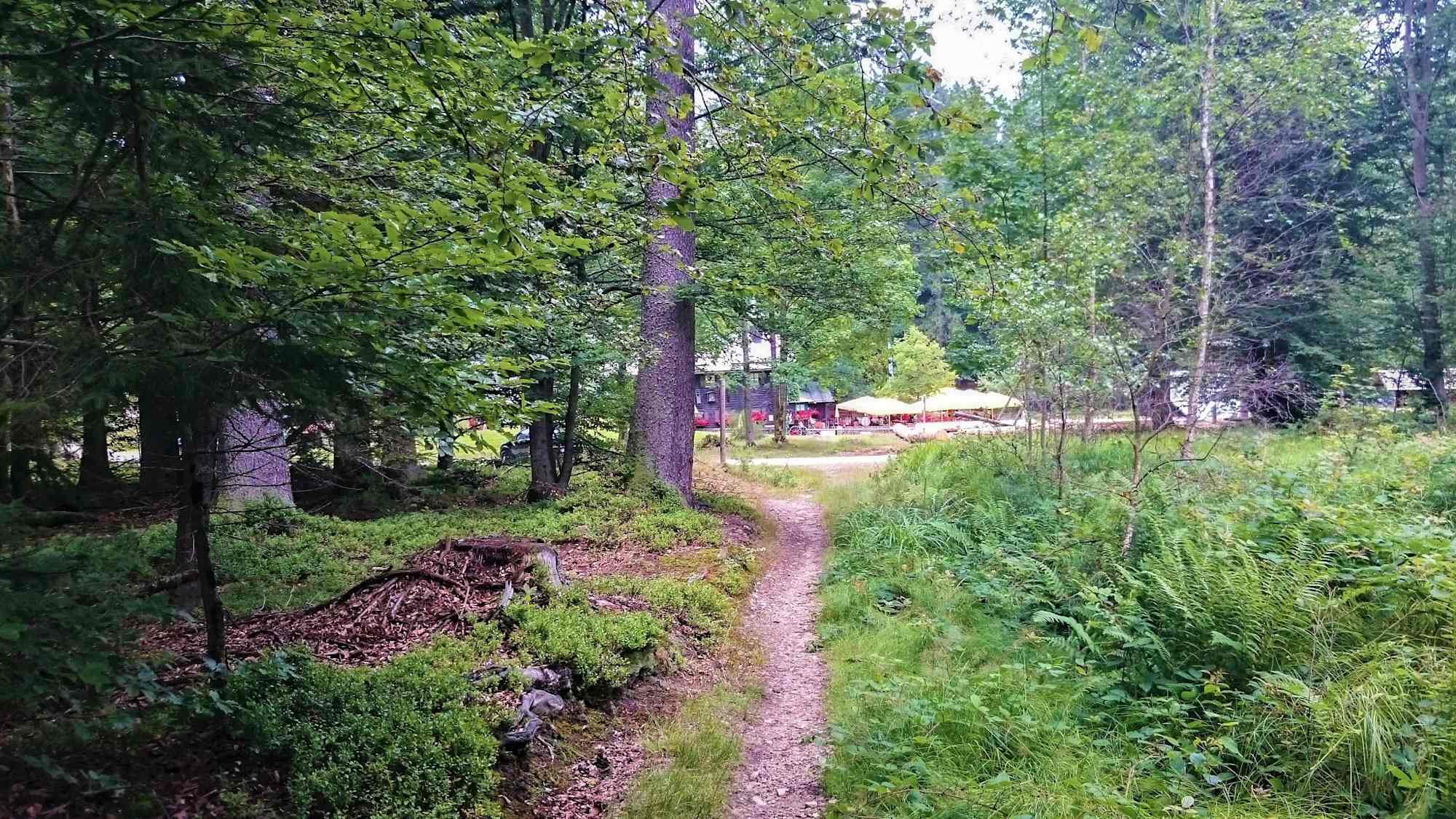 Rundweg Bussard