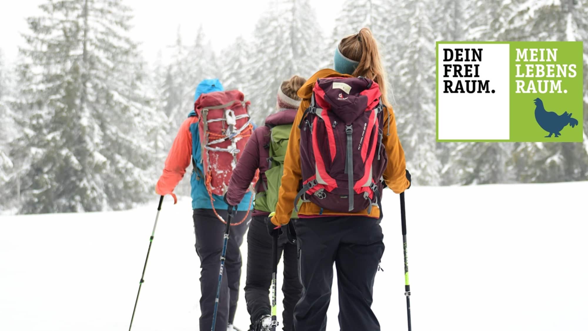Schneeschuhwandern im Naturpark Nagelfluhkette