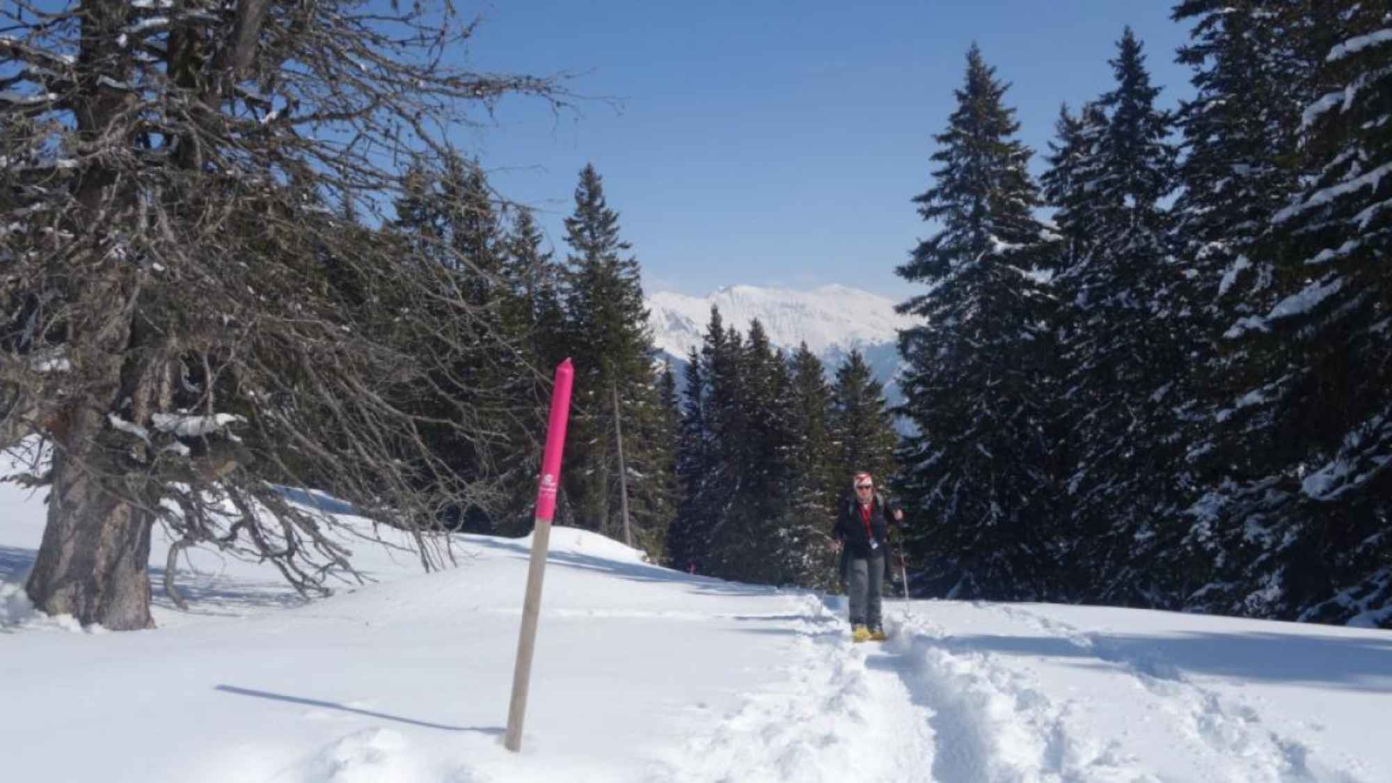 Aufstieg nach dem Spundiswald