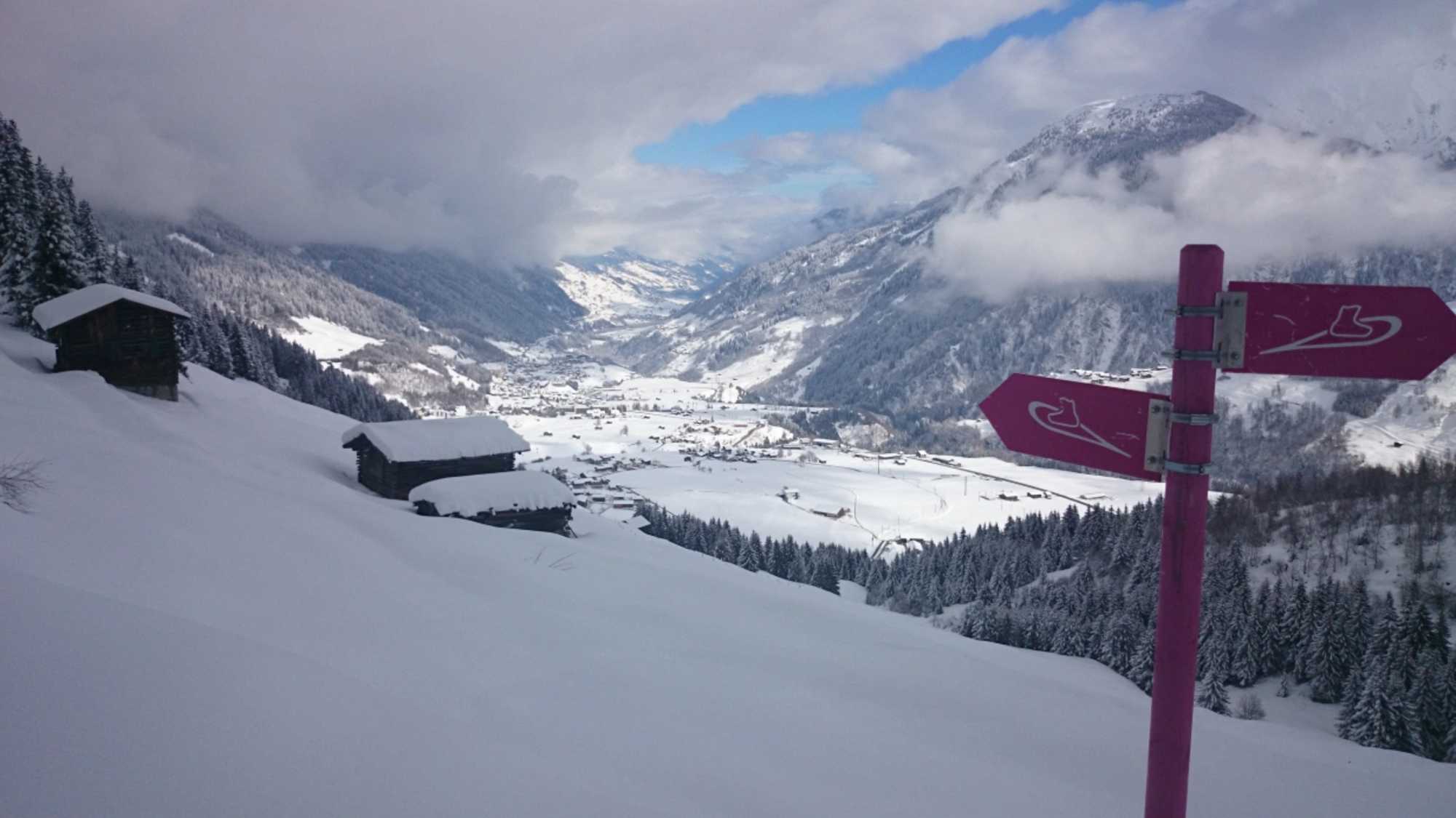 Ein Blick auf Disentis