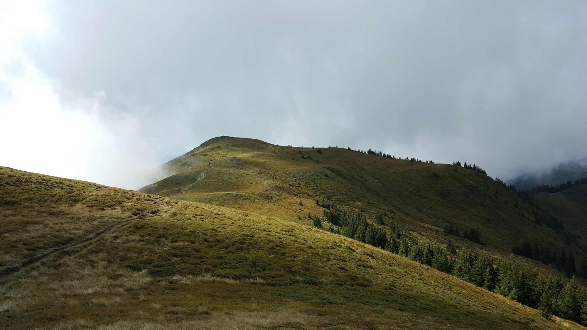 Auf dem Weg zum Schneeberg
