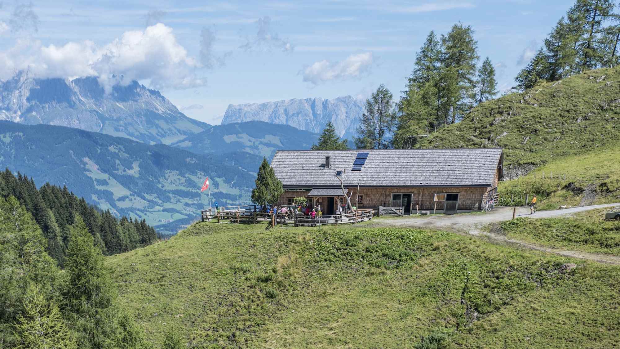 Tagkopf