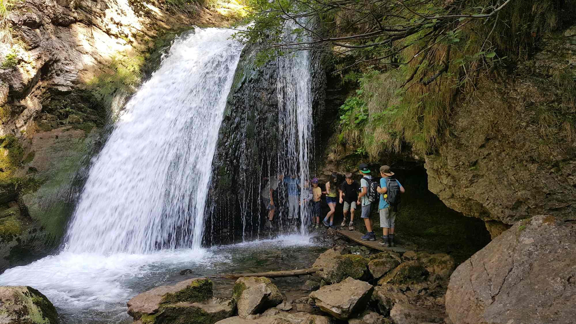 Trefflingfall