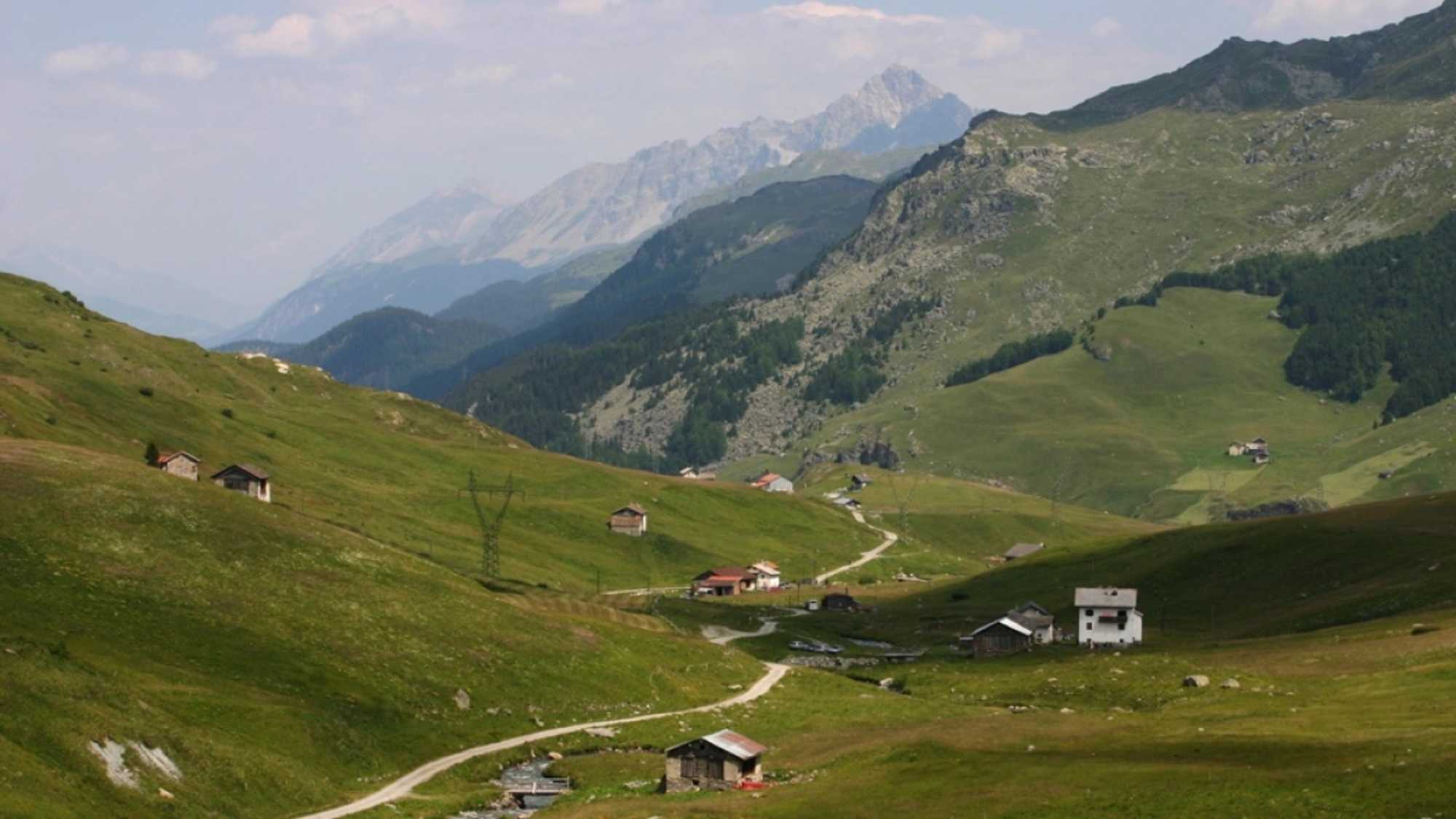 Blick über das Val Tgavregta mit den Alpen, die von den Bergellern bestellt wurden