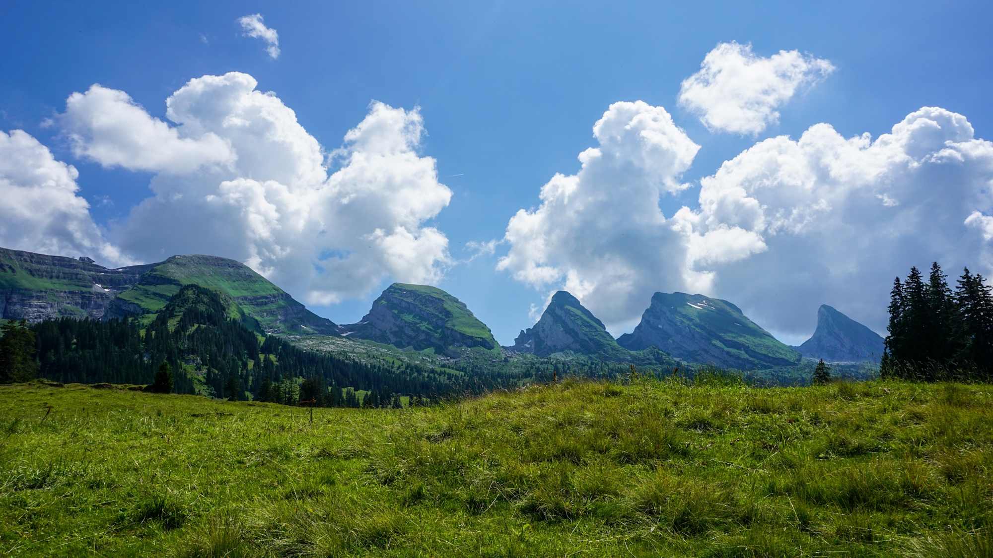 Toggenburger Höhenweg Etappe 1 Blick Churfirsten