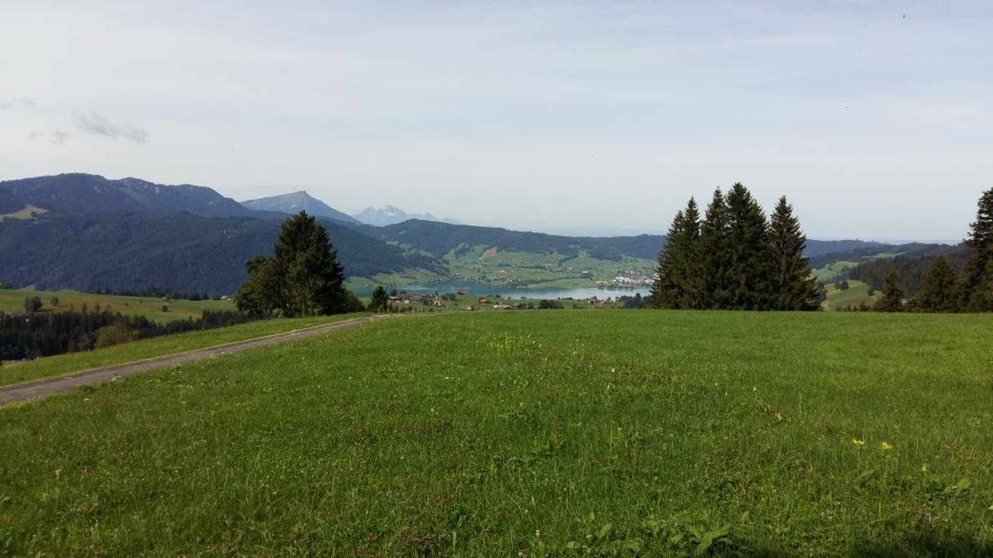 Blick auf den Ägerisee vom Ratenpass